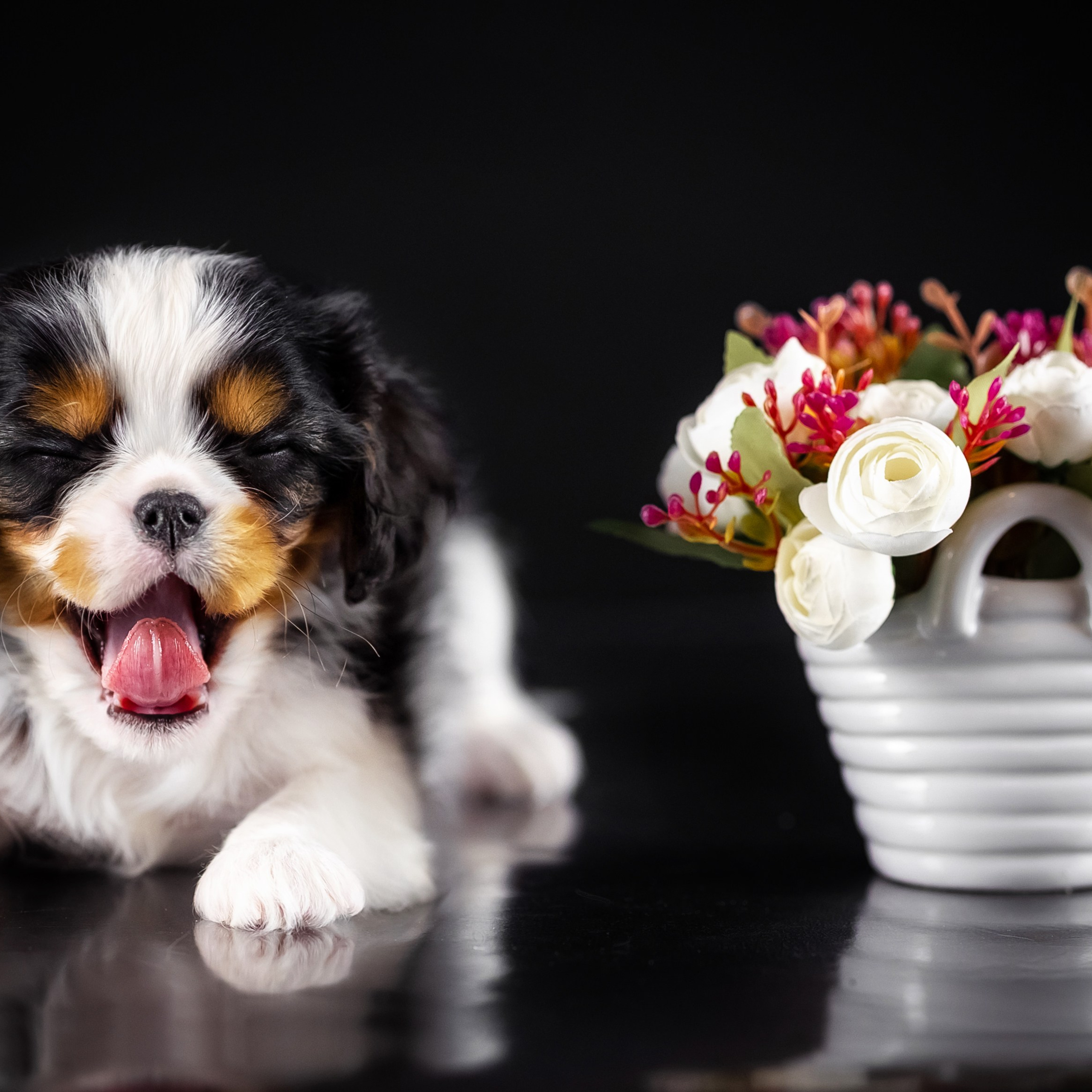 Кавалерчики