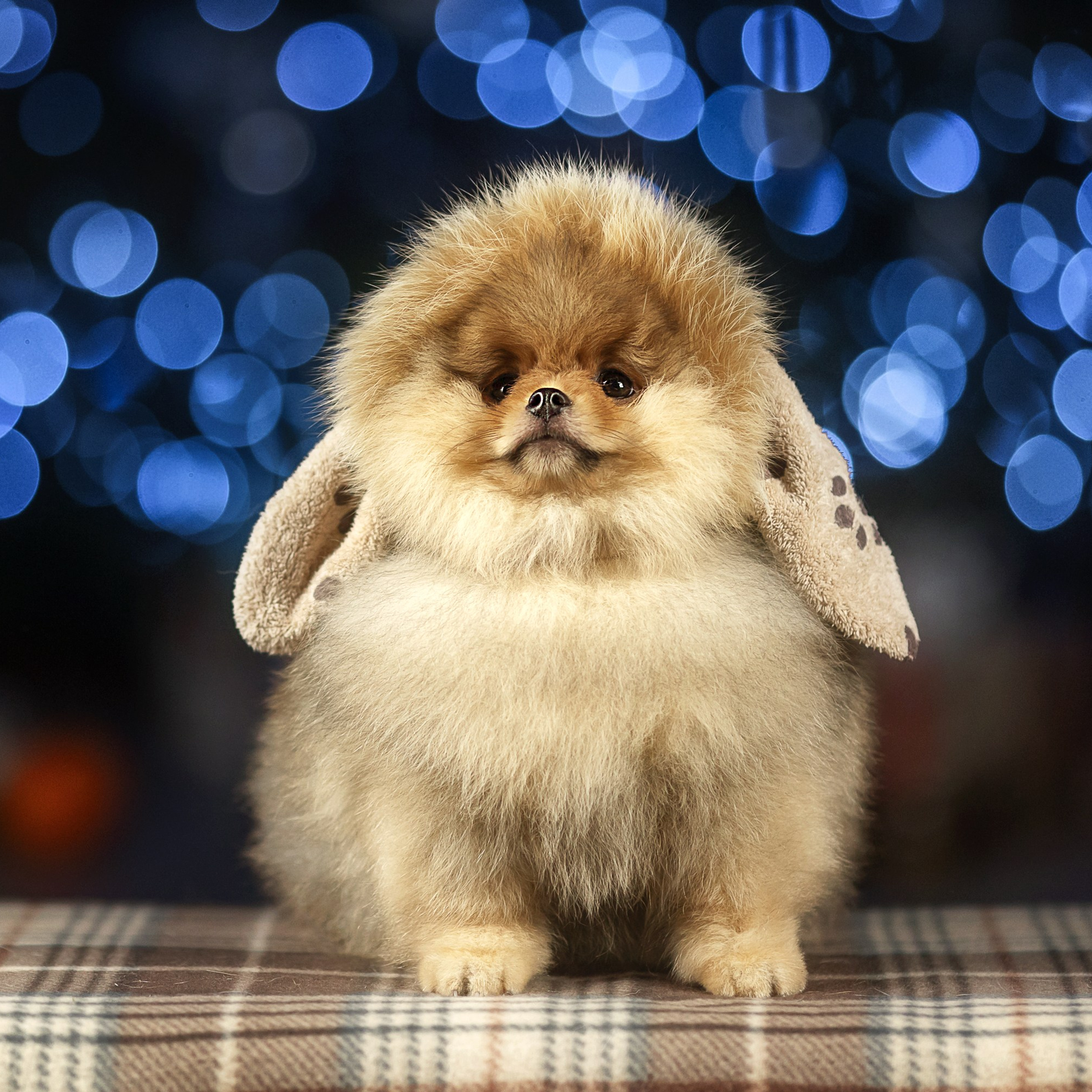 Фотодень_1 2025