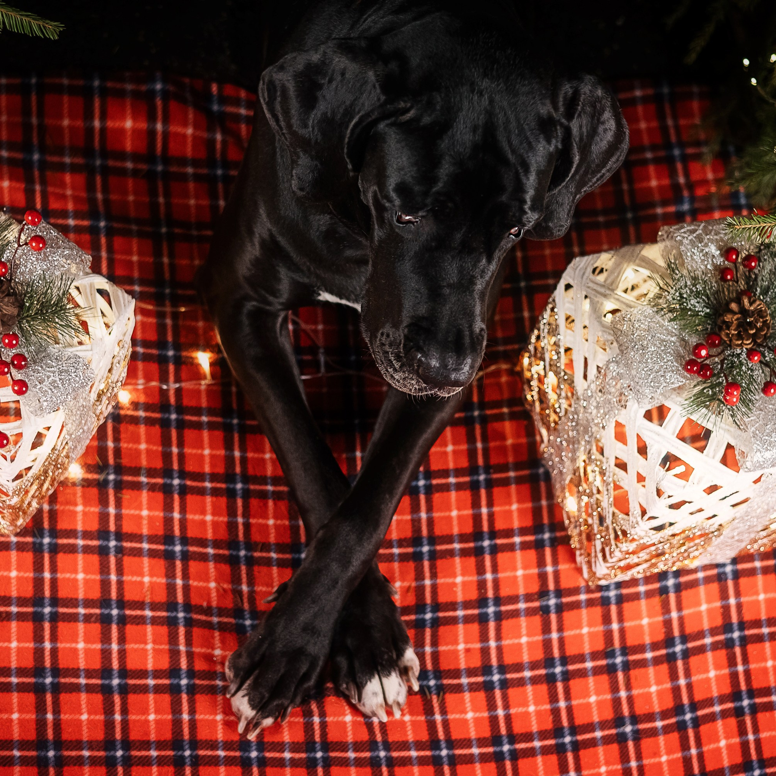 Фотодень_2 2025