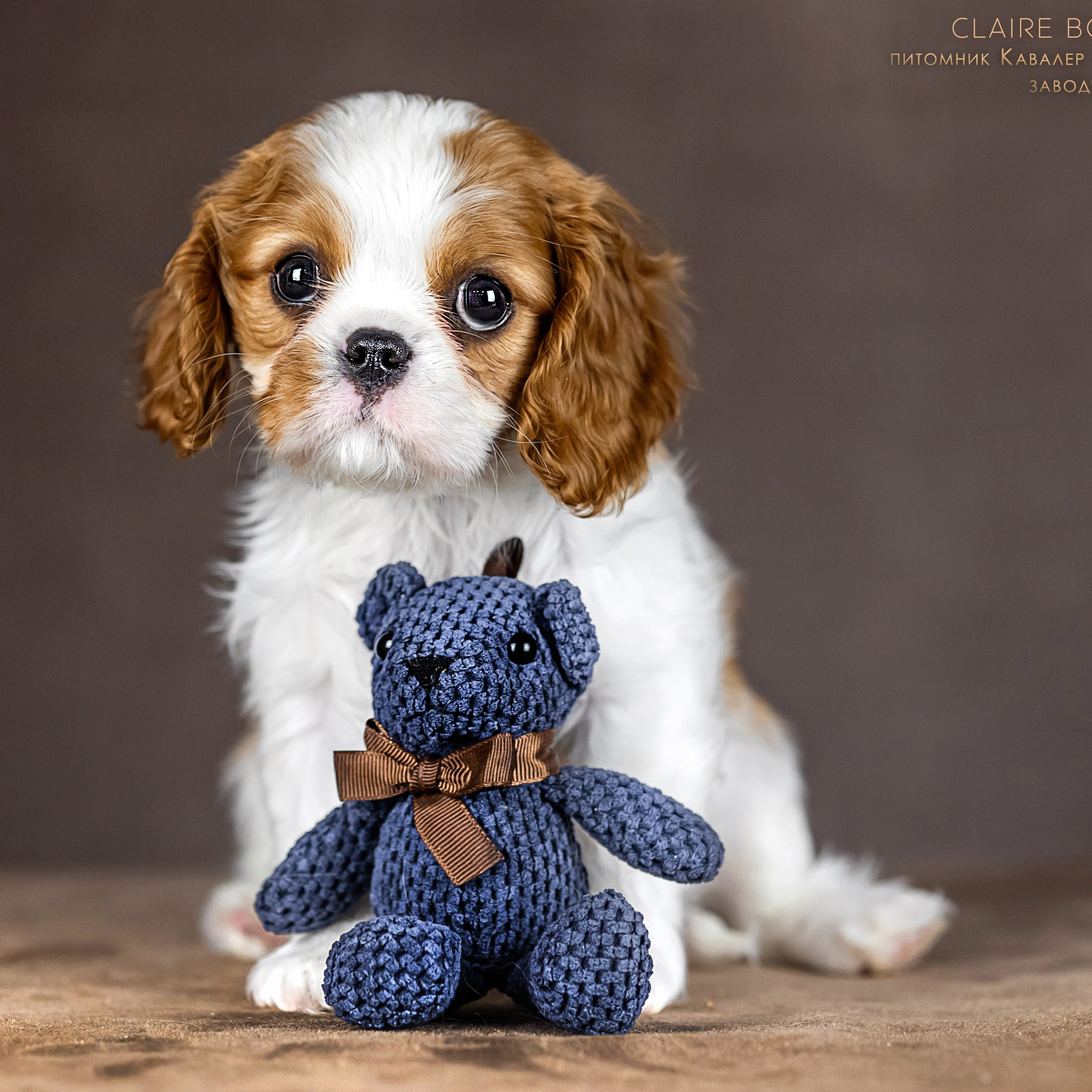 Кавалерчики