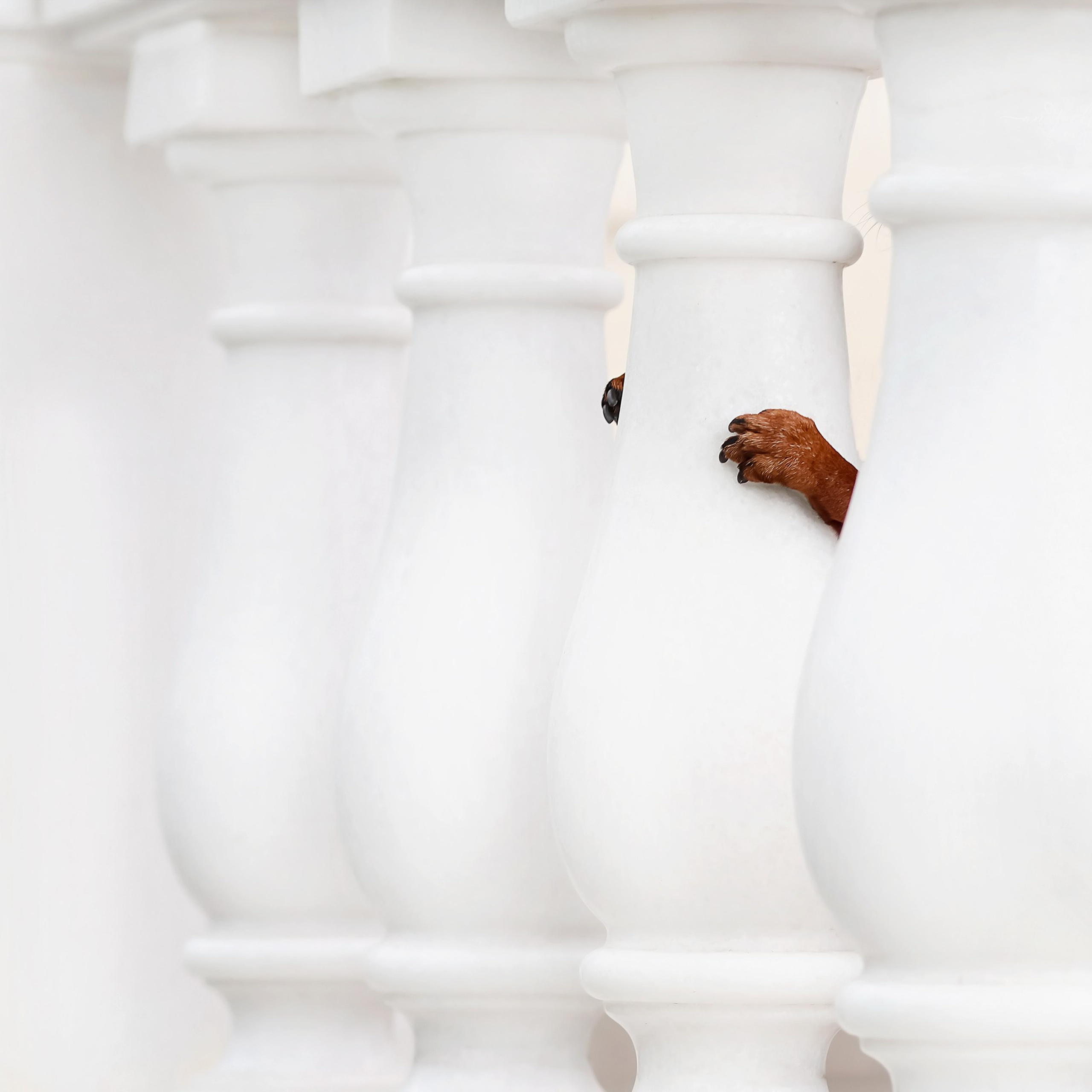 Ляля и Марфа