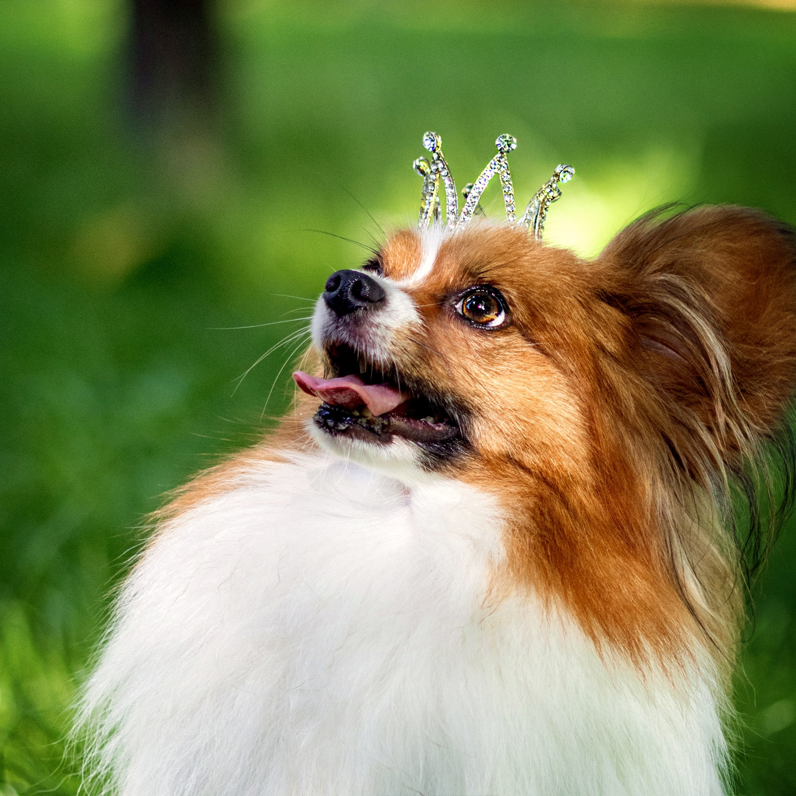 Царёчик 3 года