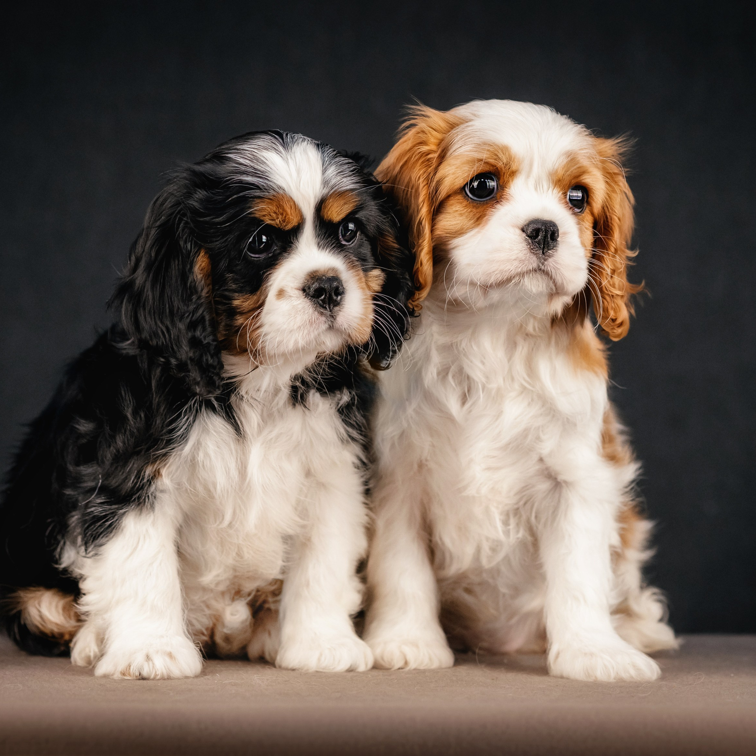 Кавалерчики