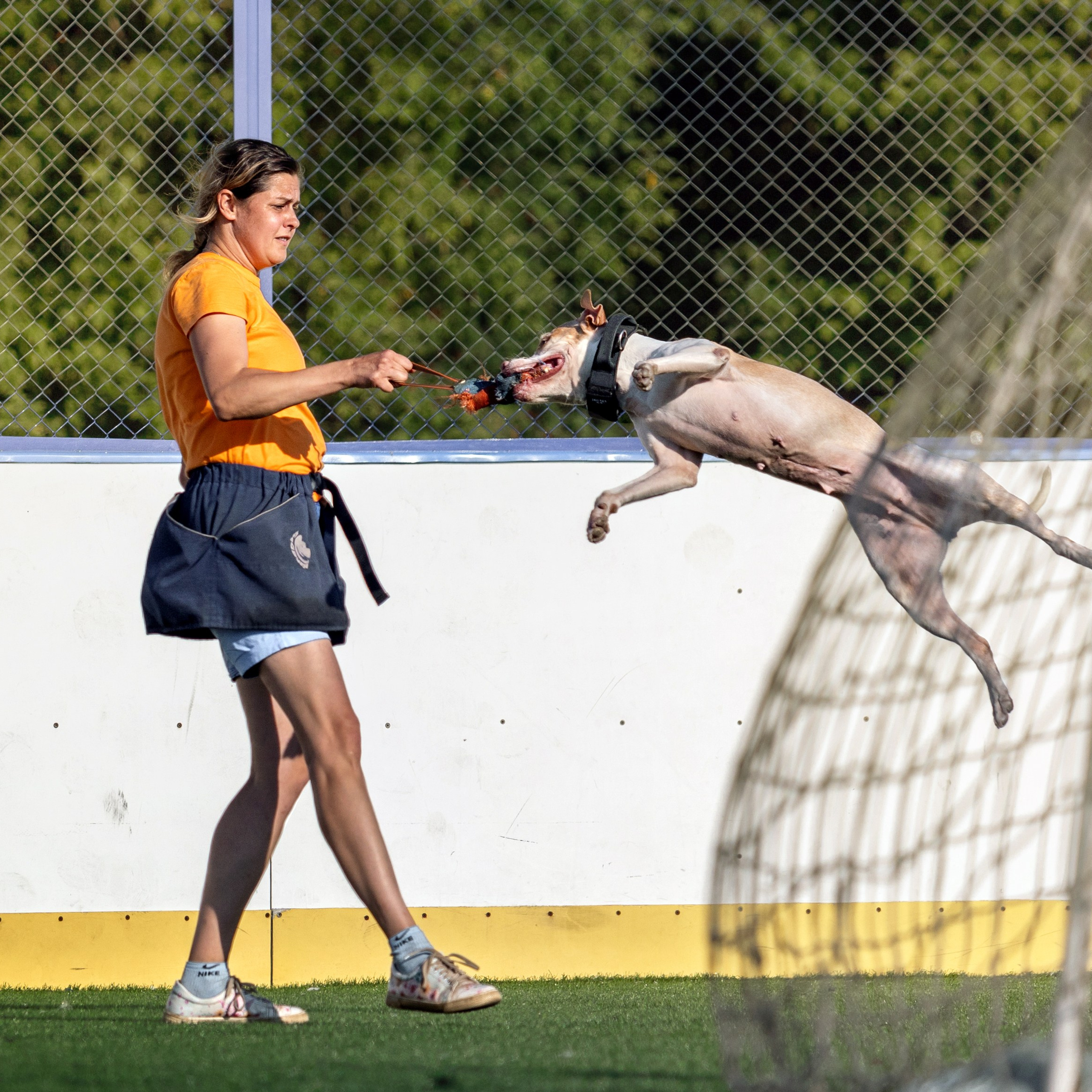 Ралли обидиенс