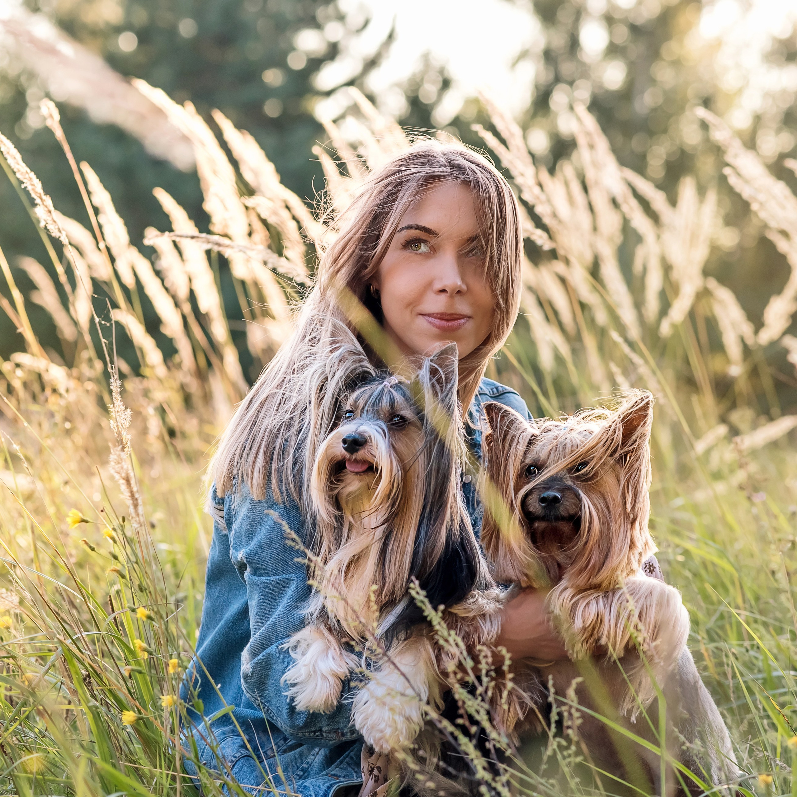 Катя и йорки