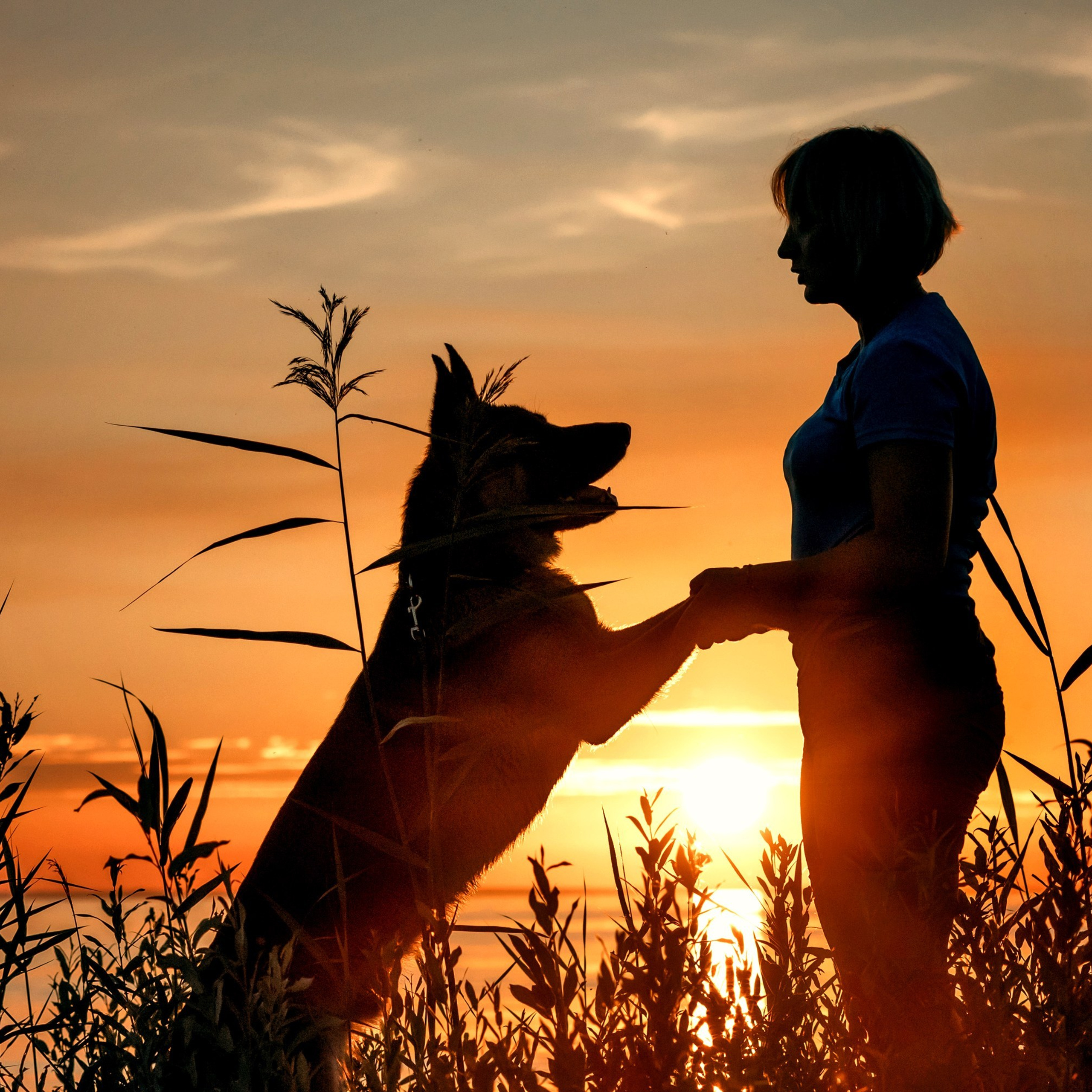 Прайд на море