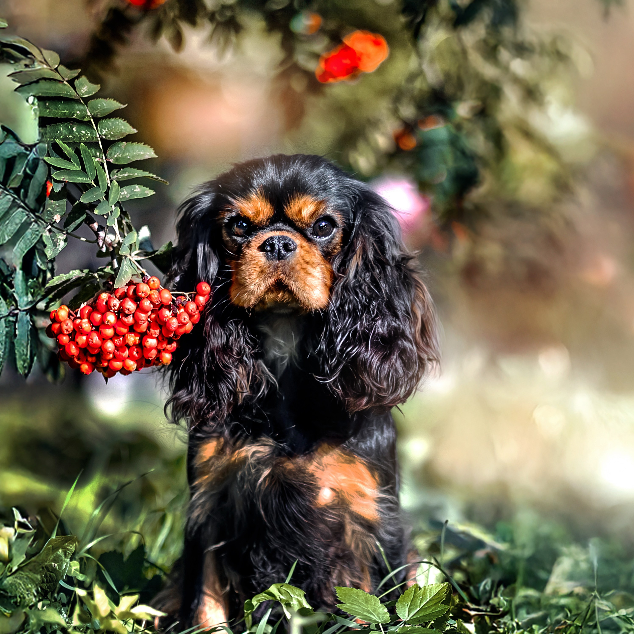 Кавалерчики