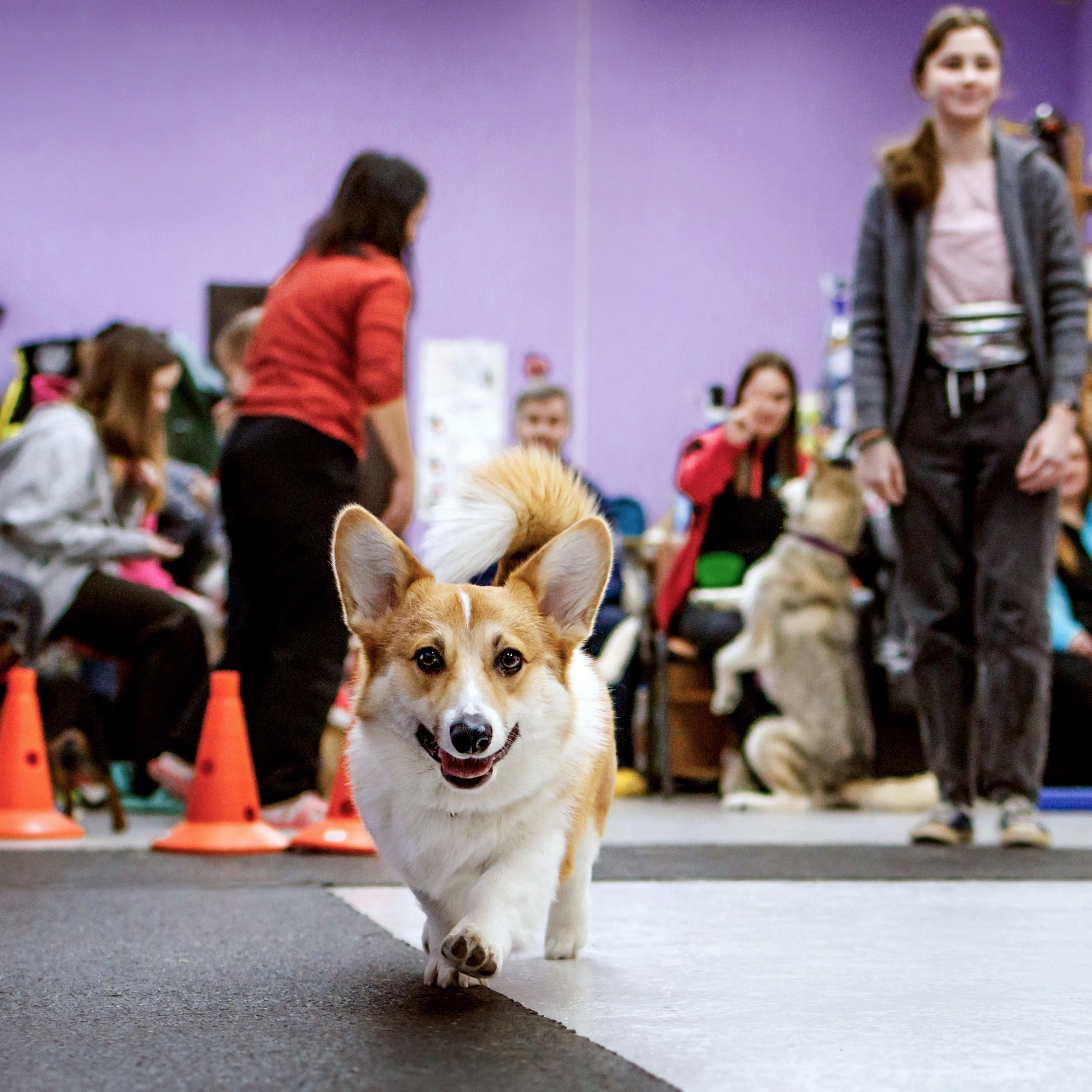 НГ конкурсы в «Simply the Best»