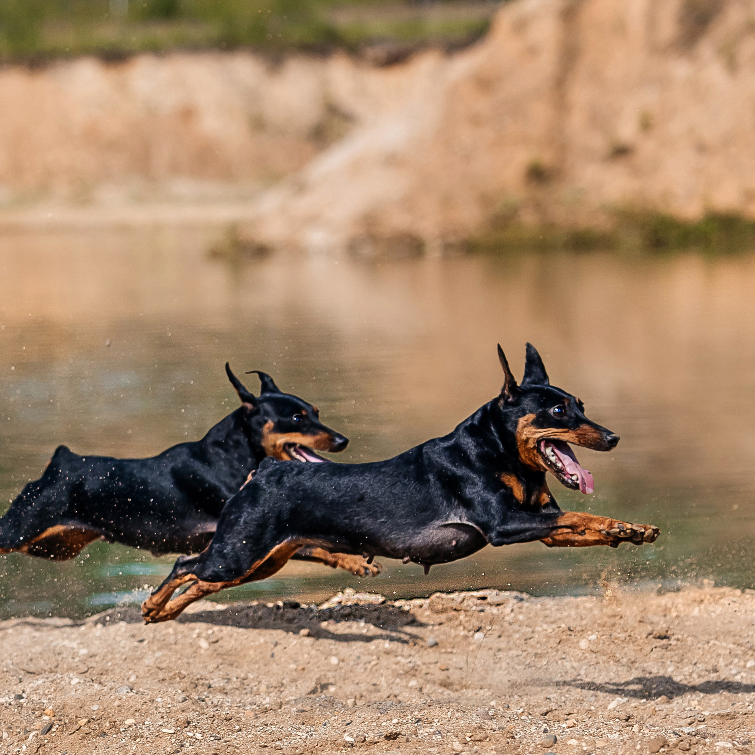 Троицкий карьер