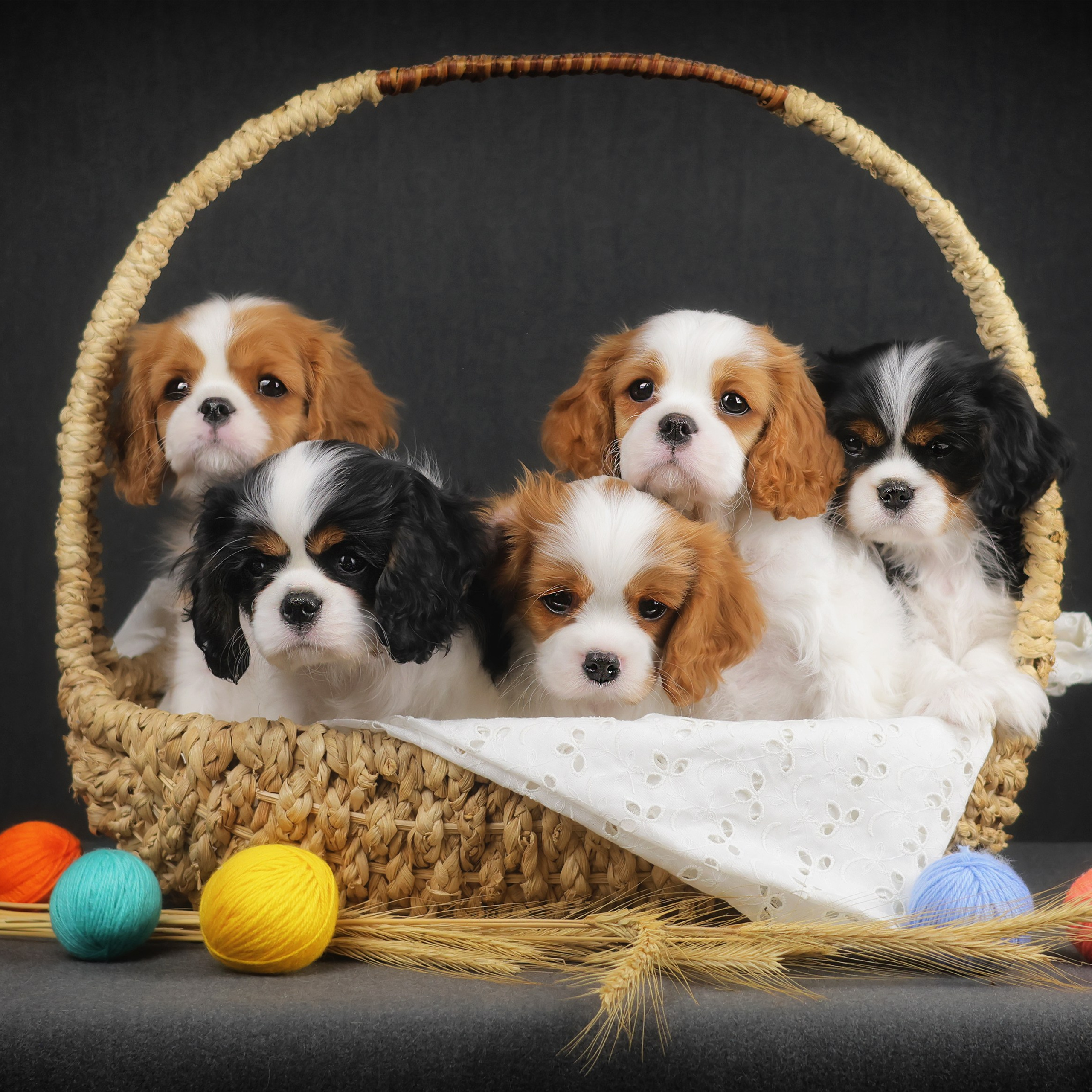 Кавалерчики