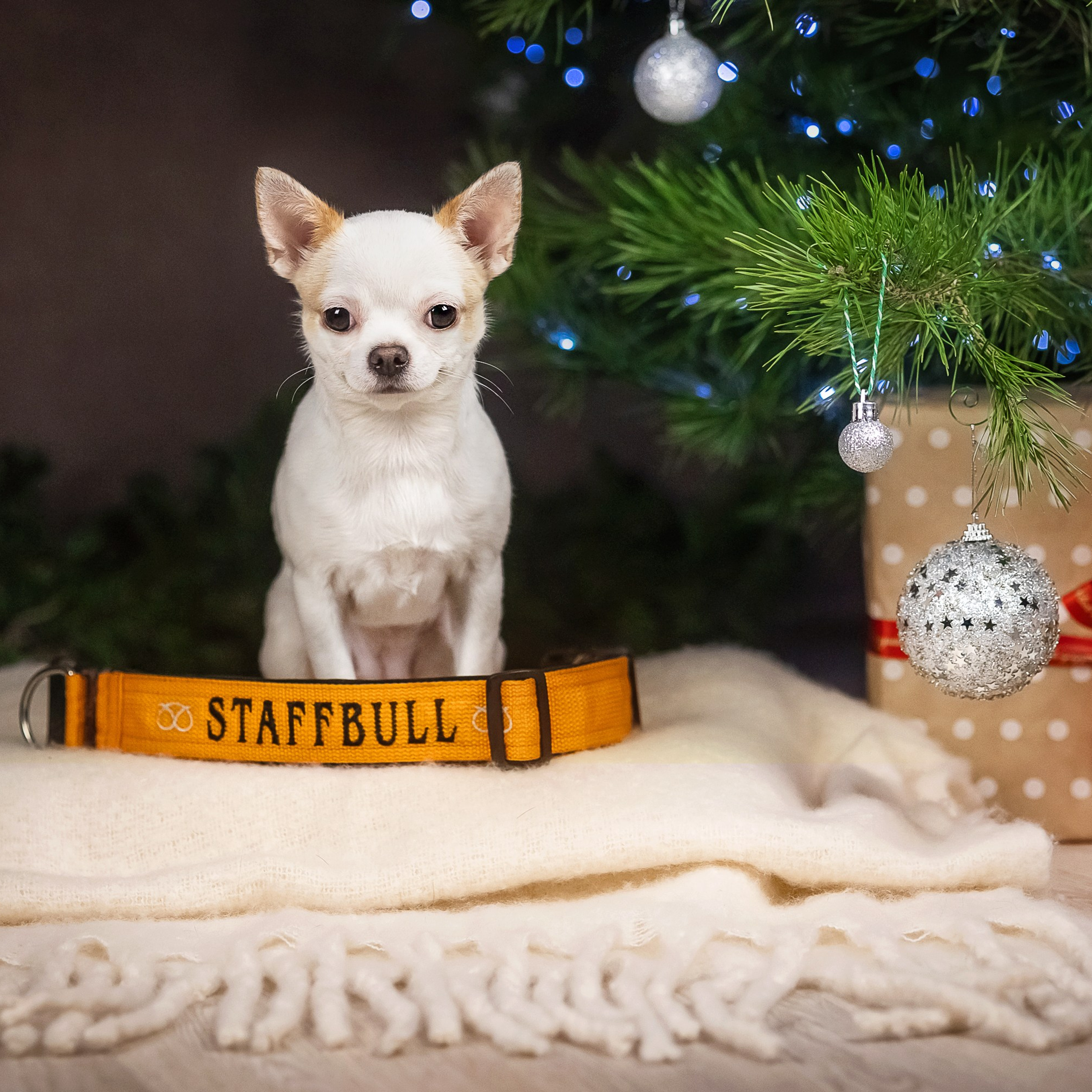 Фотодень_3 2025