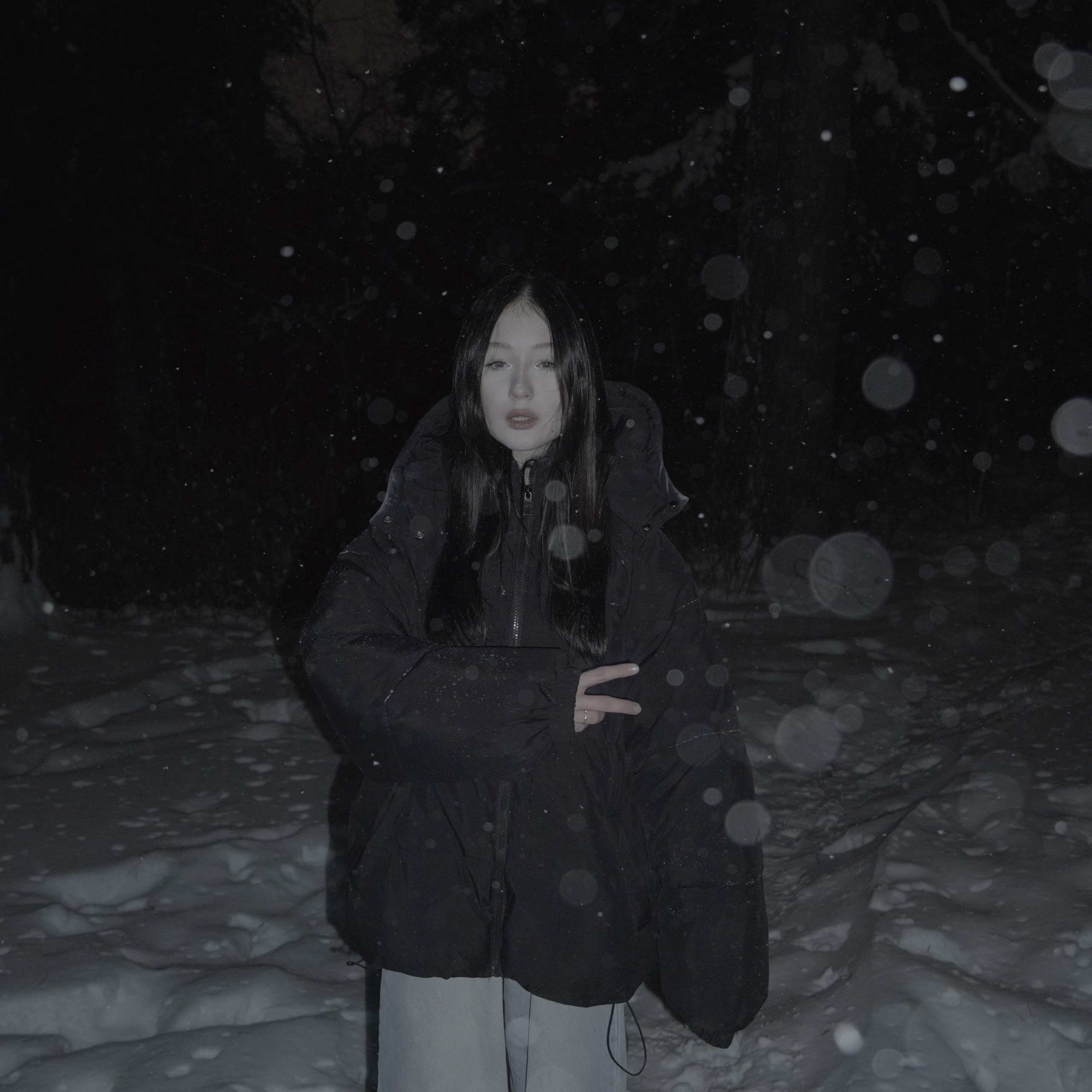 ЗАСНЕЖЕННЫЙ ЛЕС