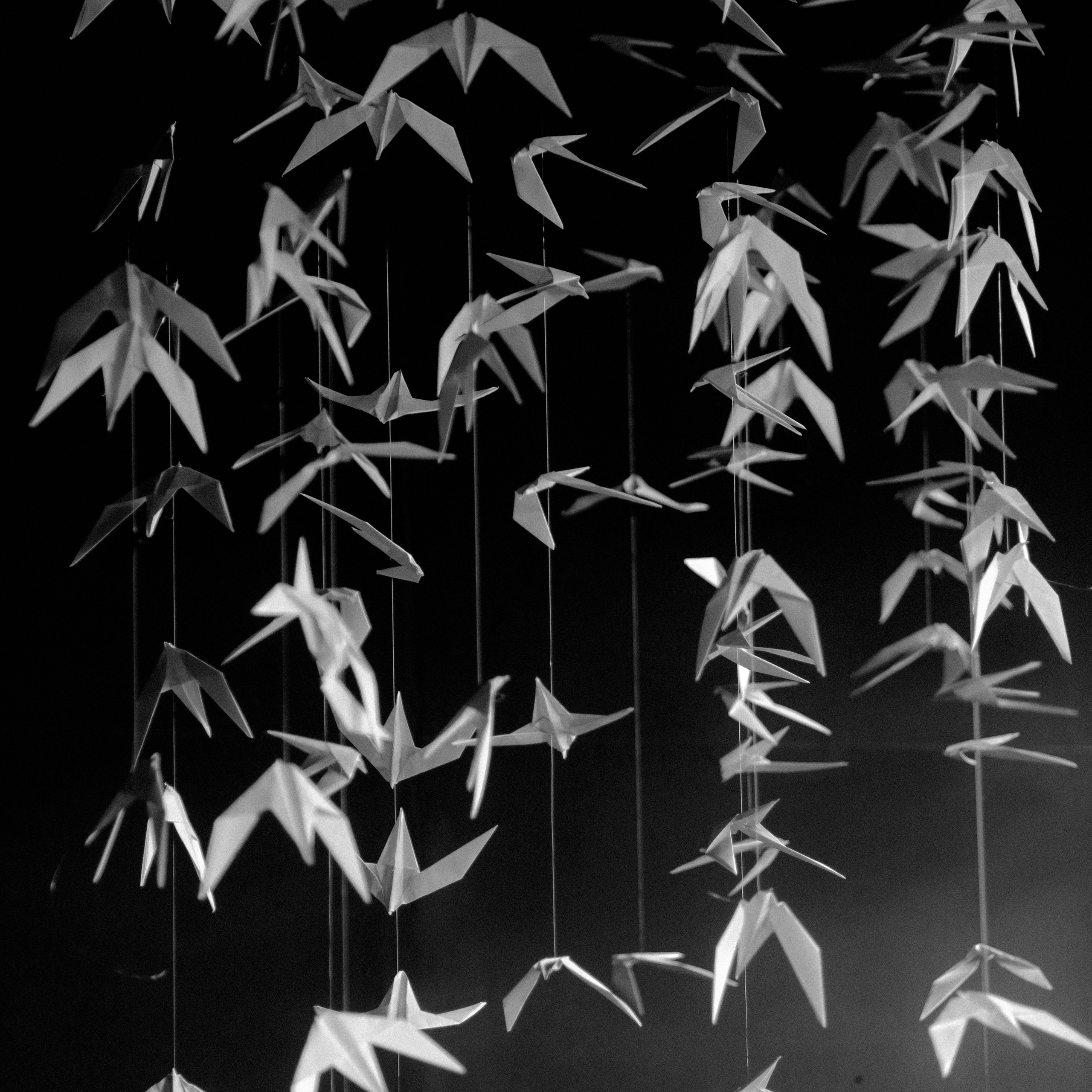 Отзывы. Пушистая Сова - Свадебный и портретный фотограф Воронеж, Москва, Питер