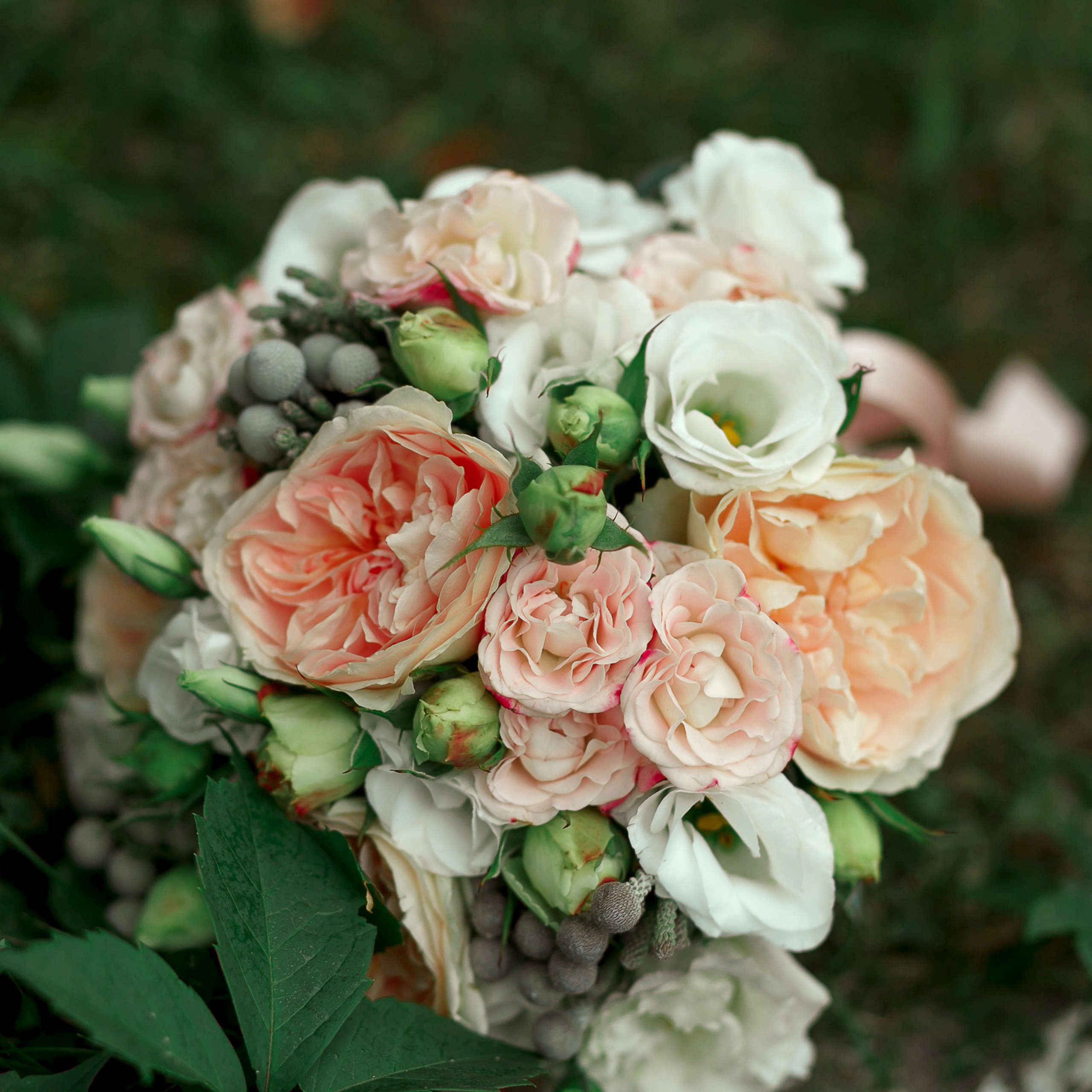 Отзывы. Свадебный и семейный фотограф в Череповеце Оксана Лобова