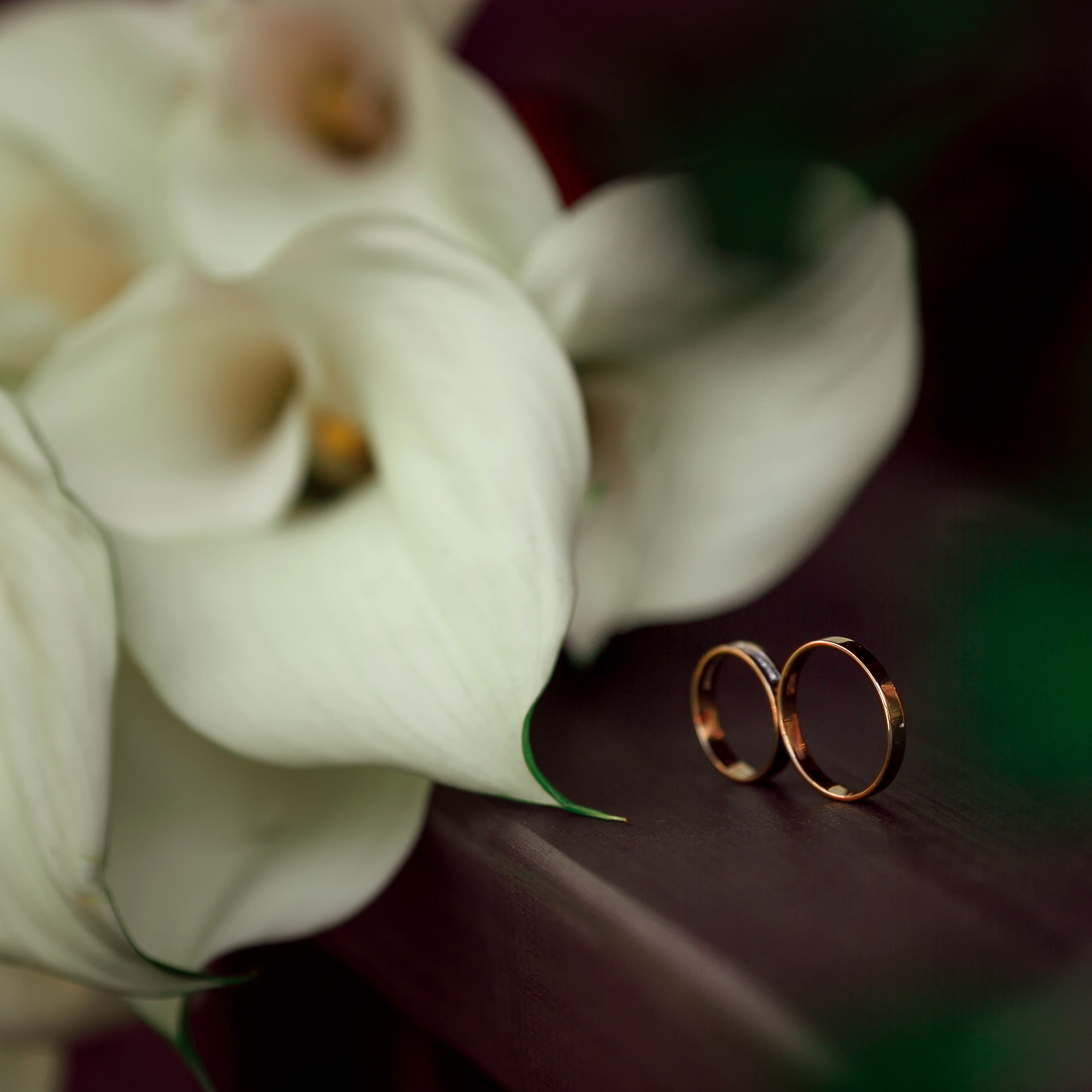 Ольга и Алексей