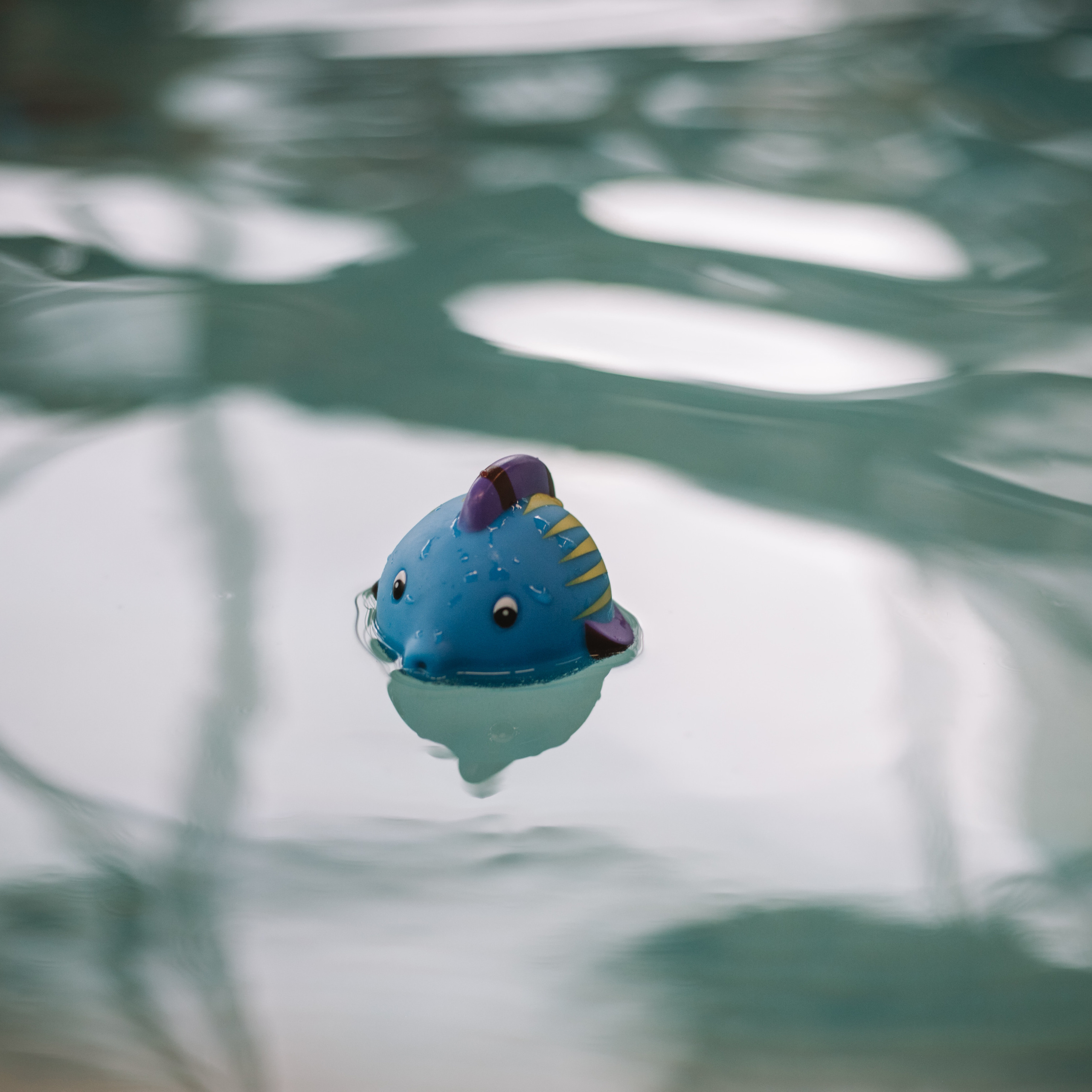 Отзывы. Спортивный фотограф Санкт Петербург