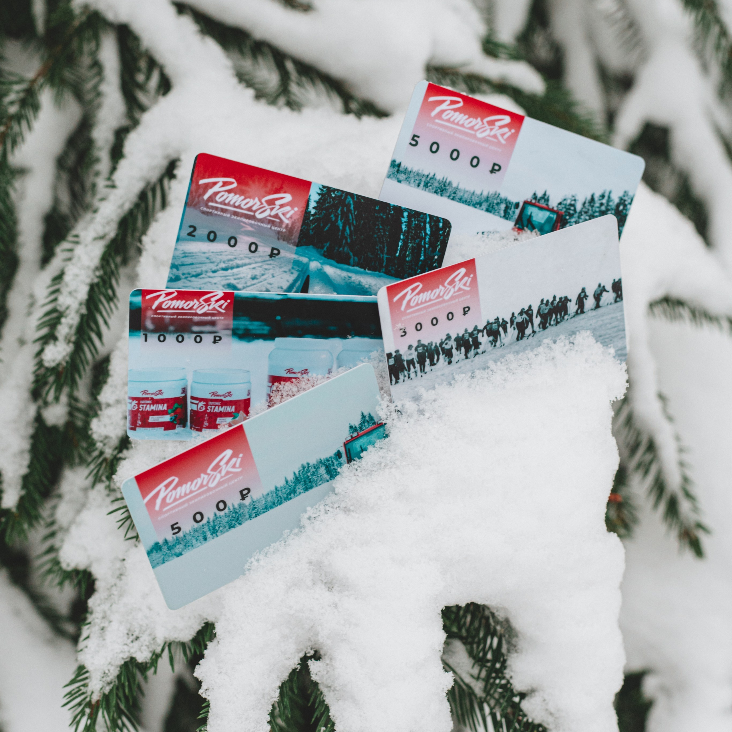 Отзывы. Спортивный фотограф Санкт Петербург