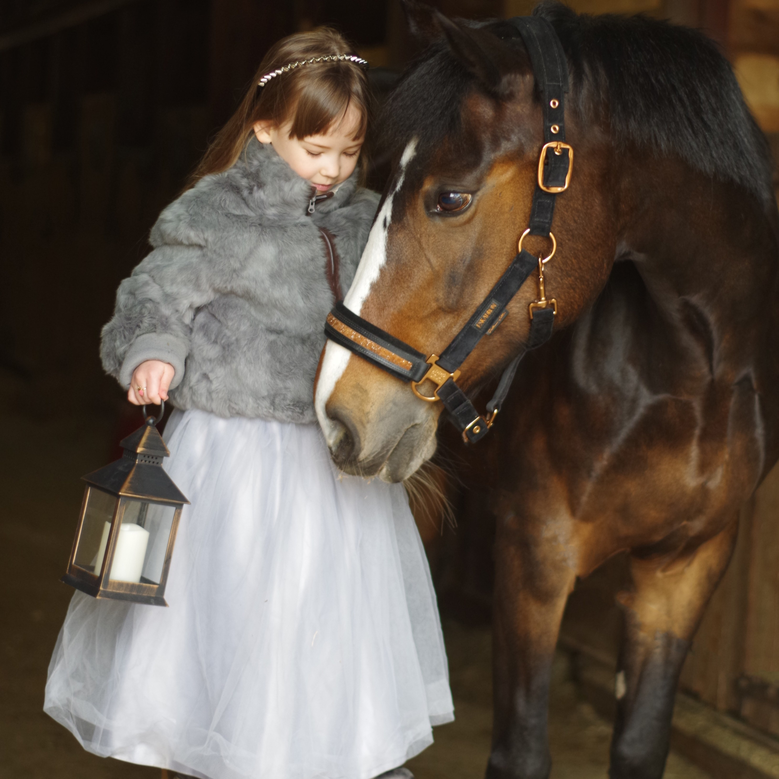 Отзывы. Фотограф Марина Доглядная Челябинск фотосессии с лошадьми, мотоциклами