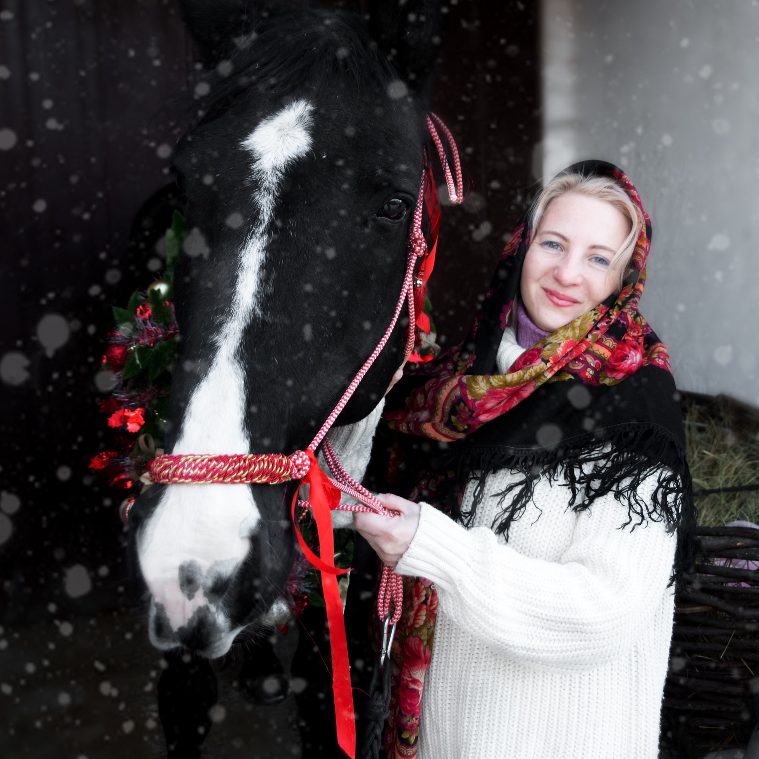 Отзывы. Фотограф Марина Доглядная Челябинск фотосессии с лошадьми, мотоциклами