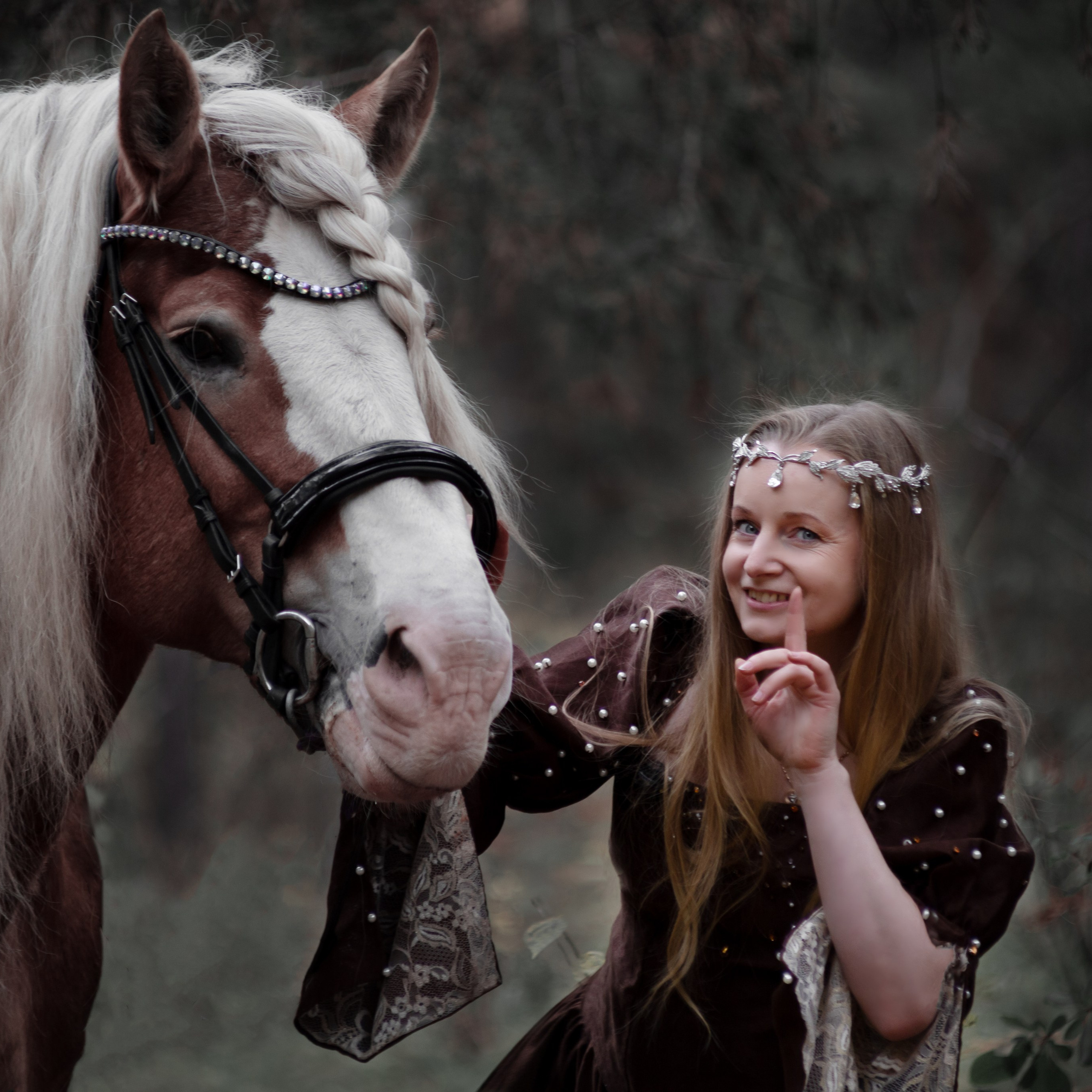 Сказочные с лошадьми