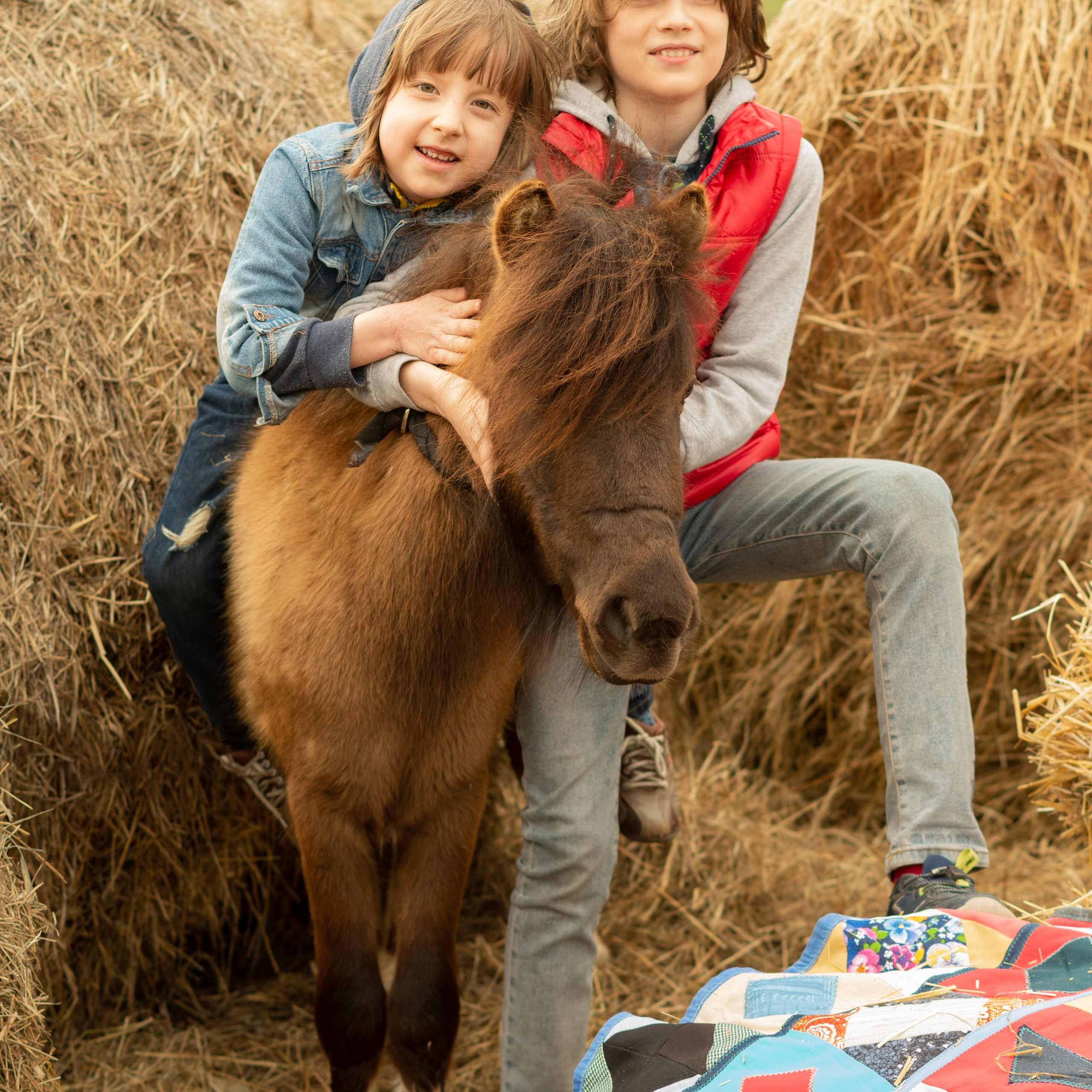 ДЕТИ & ЛОШАДИ