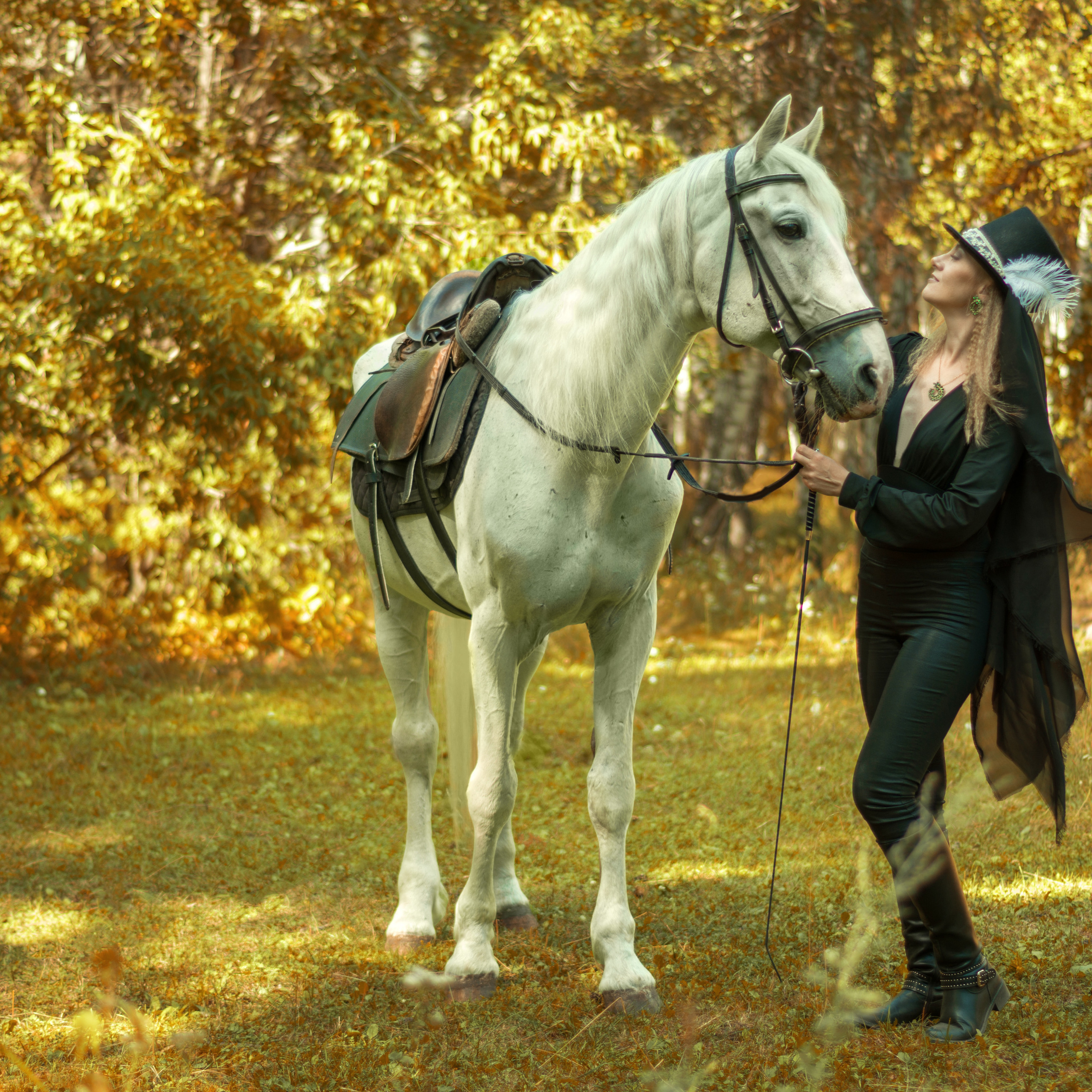 Проект «Миледи»