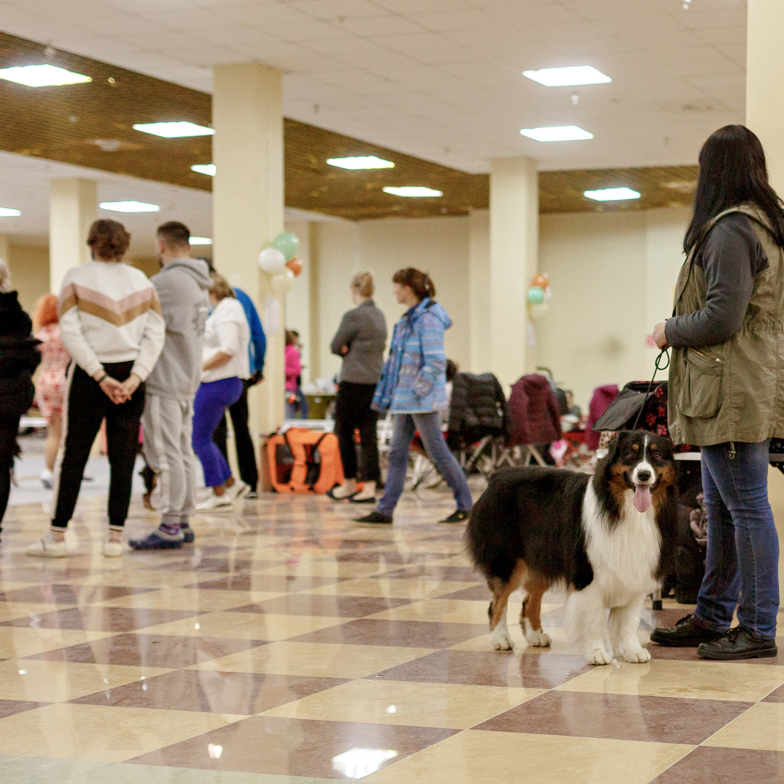 Отзывы. Школьный и семейный фотограф в Белгороде Натали Колесник