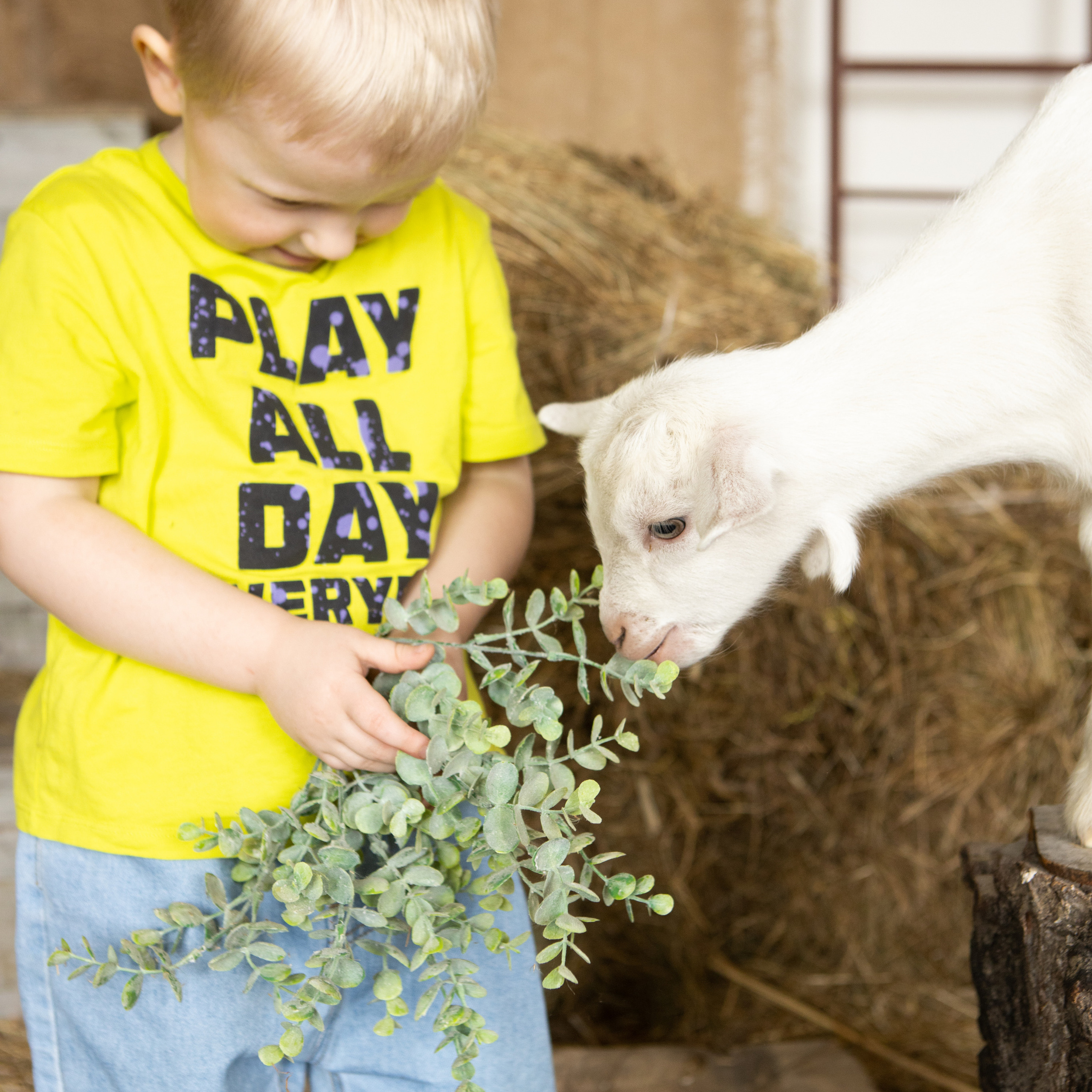 Ребята и зверята.
