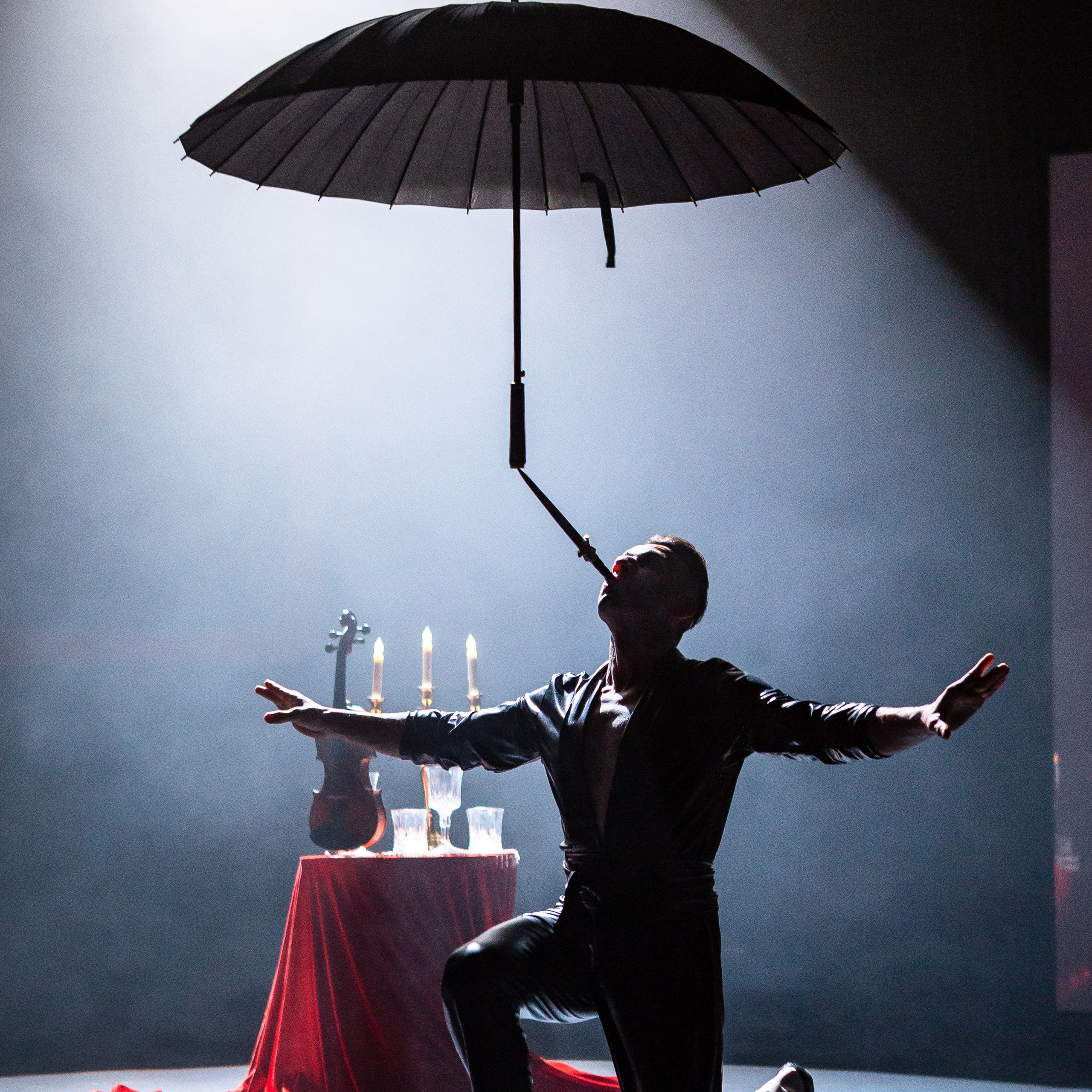 Цирковое шоу. Видеограф Добромыслов