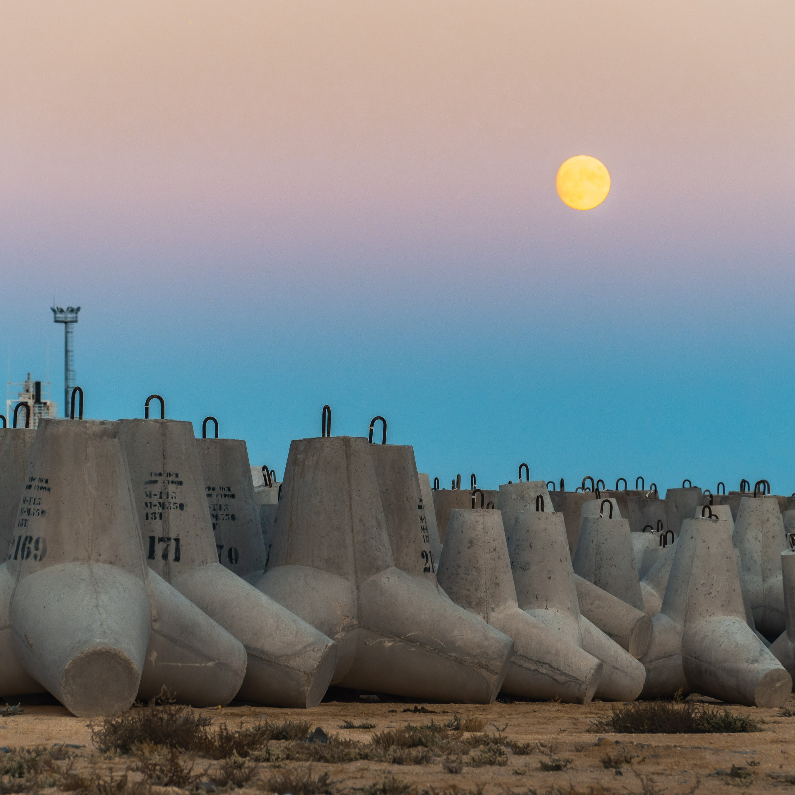 Казахстан. Видеограф Добромыслов