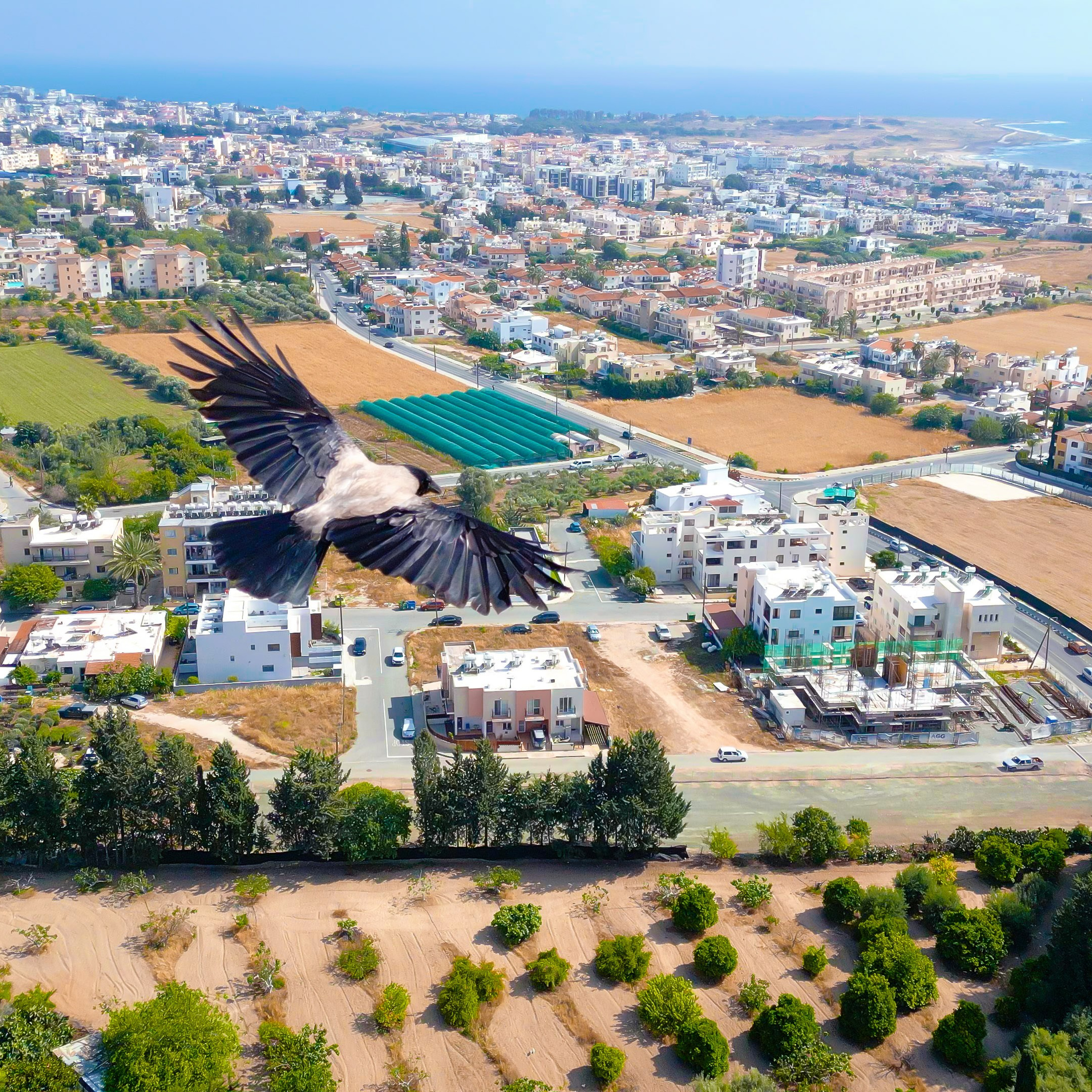 Кипр. Видеограф Добромыслов