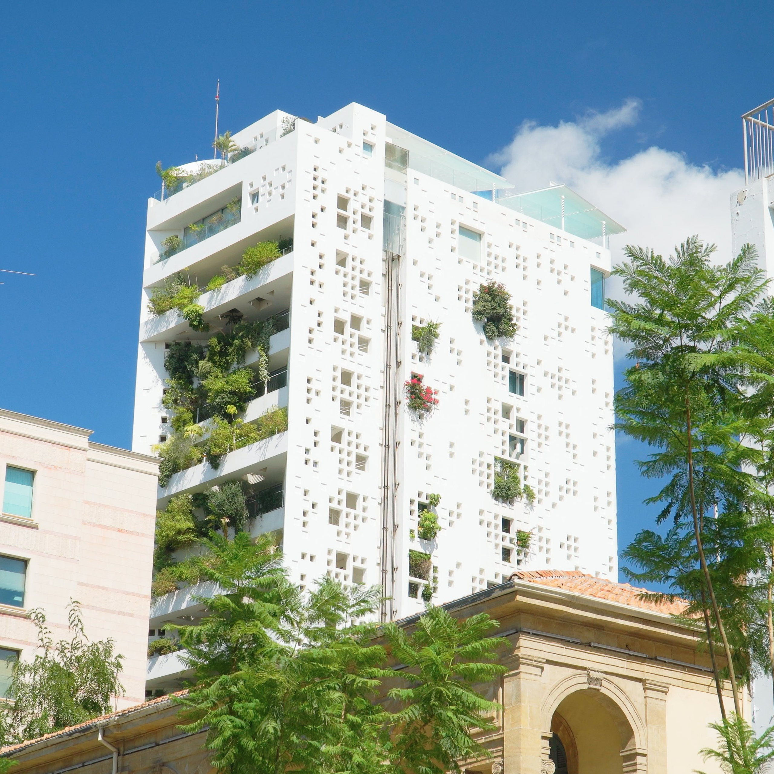 Кипр. Видеограф Добромыслов