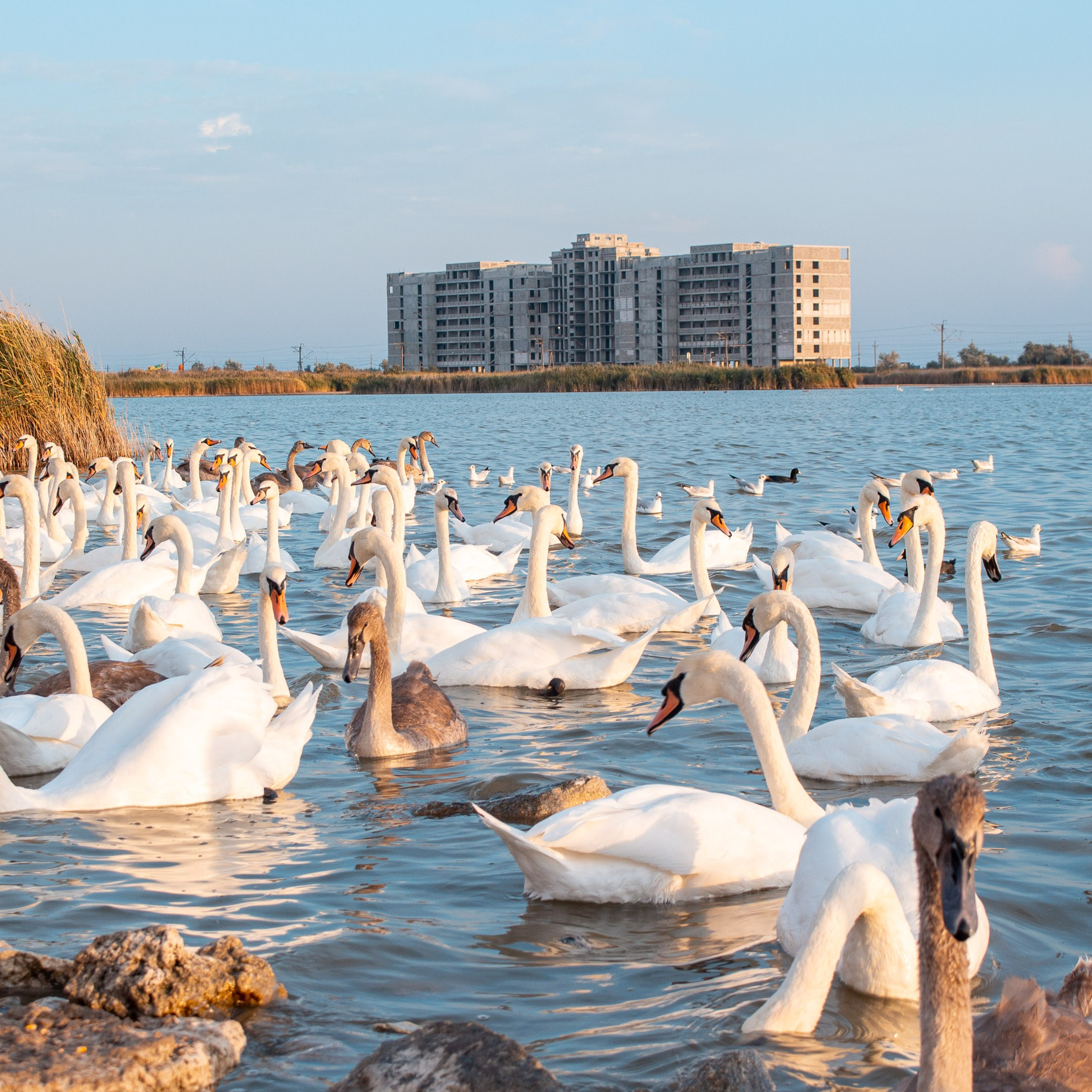 Крым. Видеограф Добромыслов