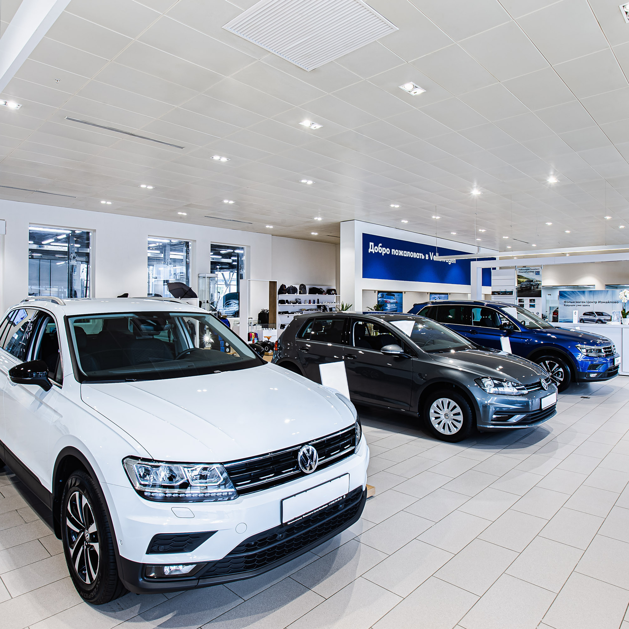 Салон VolksWagen. Видеограф Добромыслов