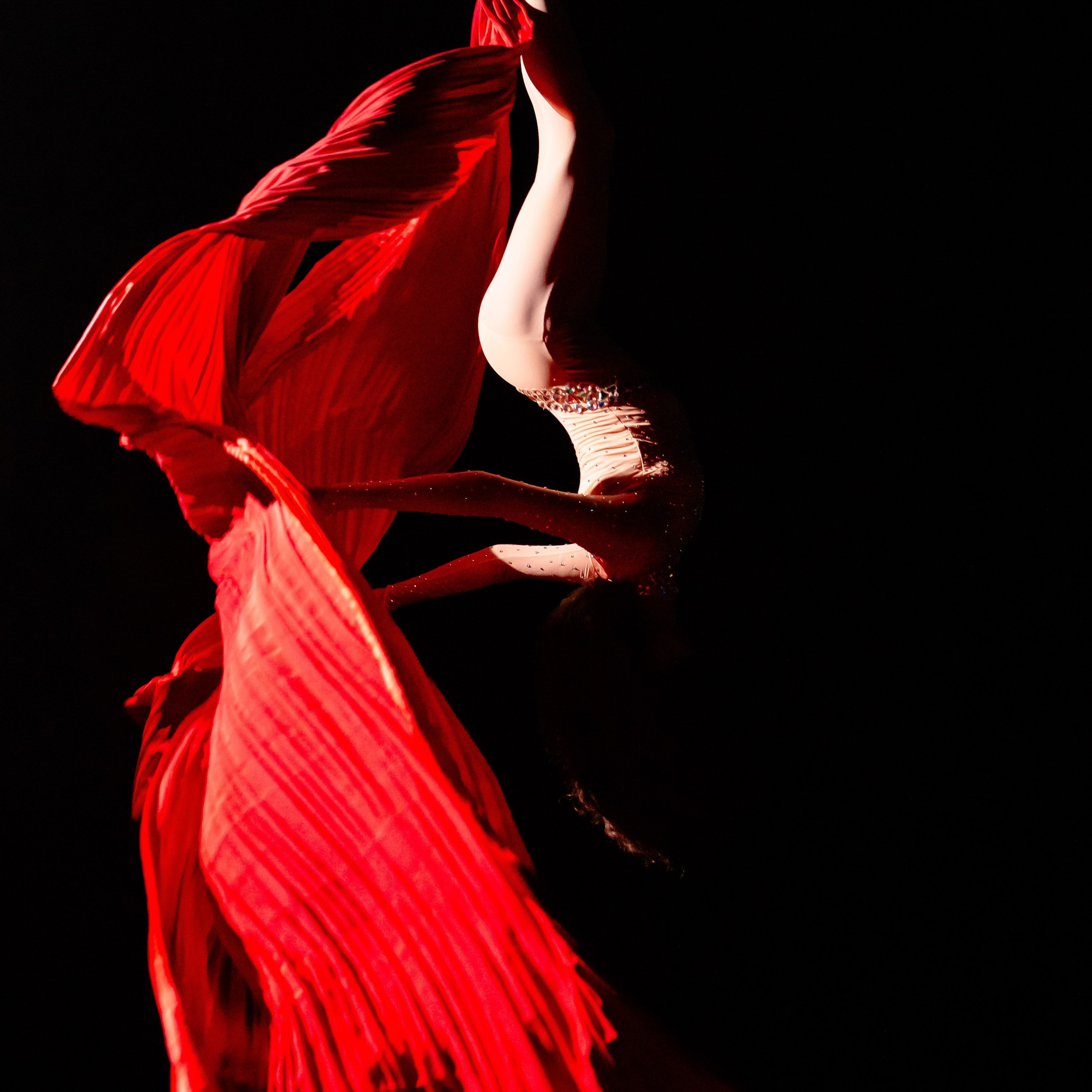 Цирковое шоу. Видеограф Добромыслов