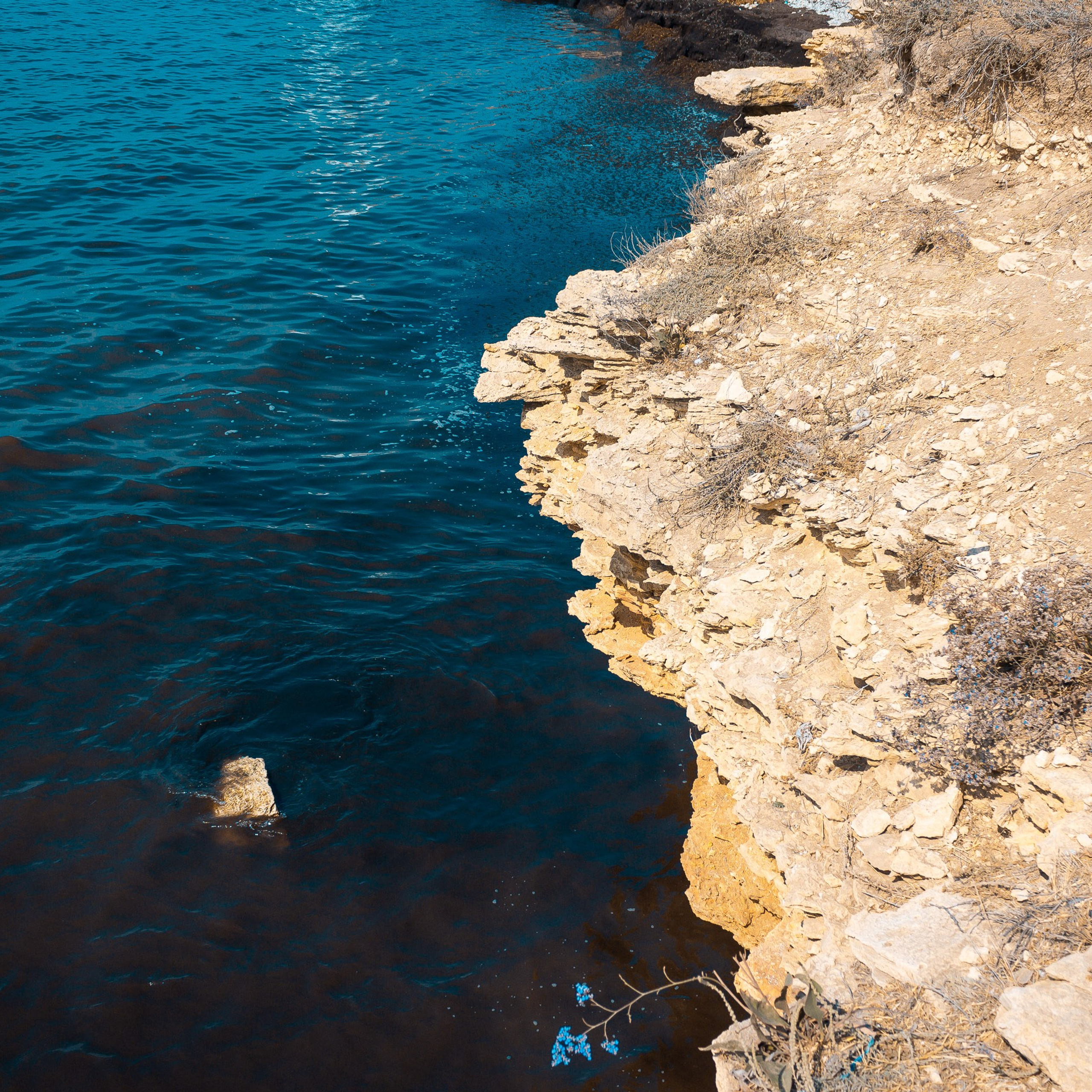 Крым. Видеограф Добромыслов