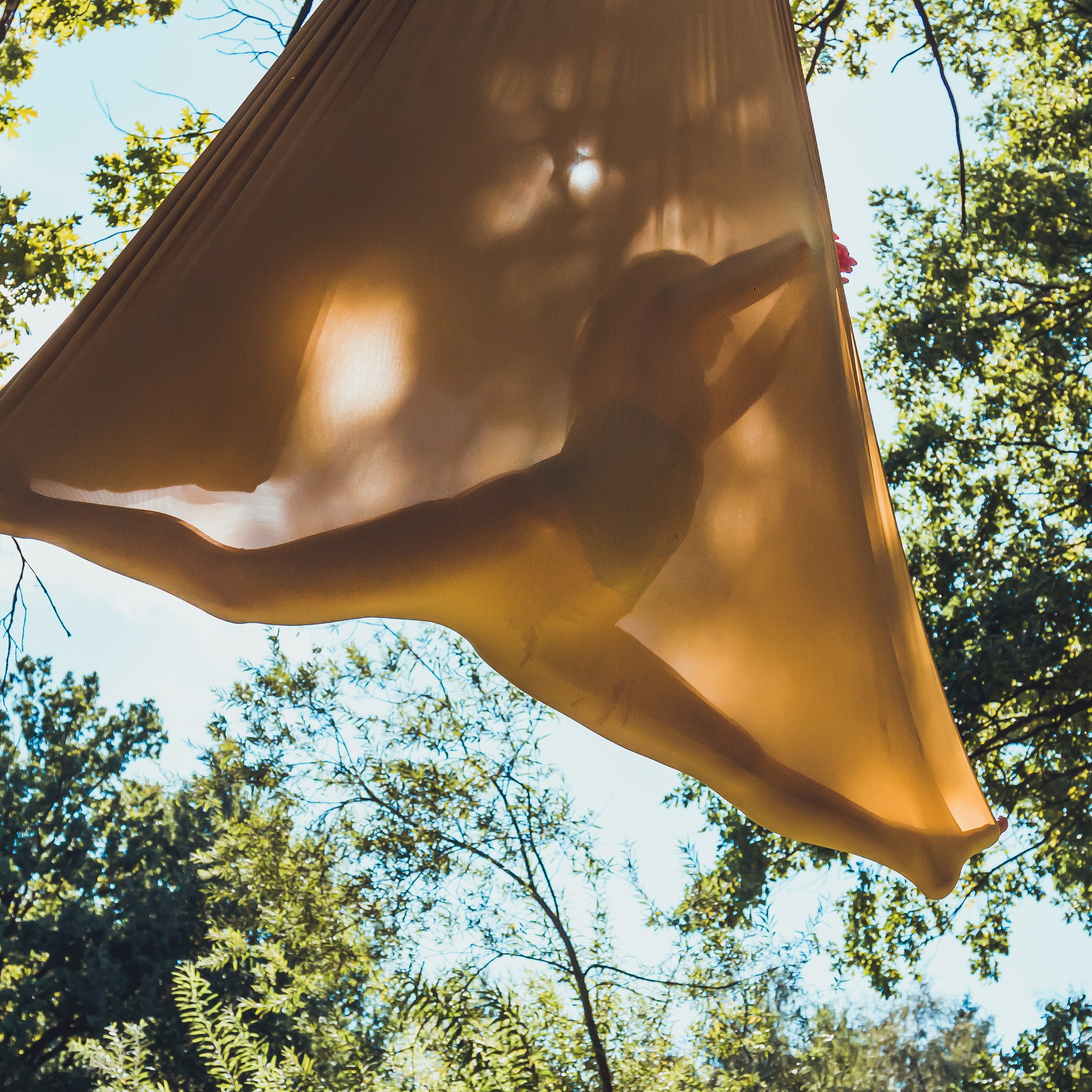 Цирковое шоу. Видеограф Добромыслов