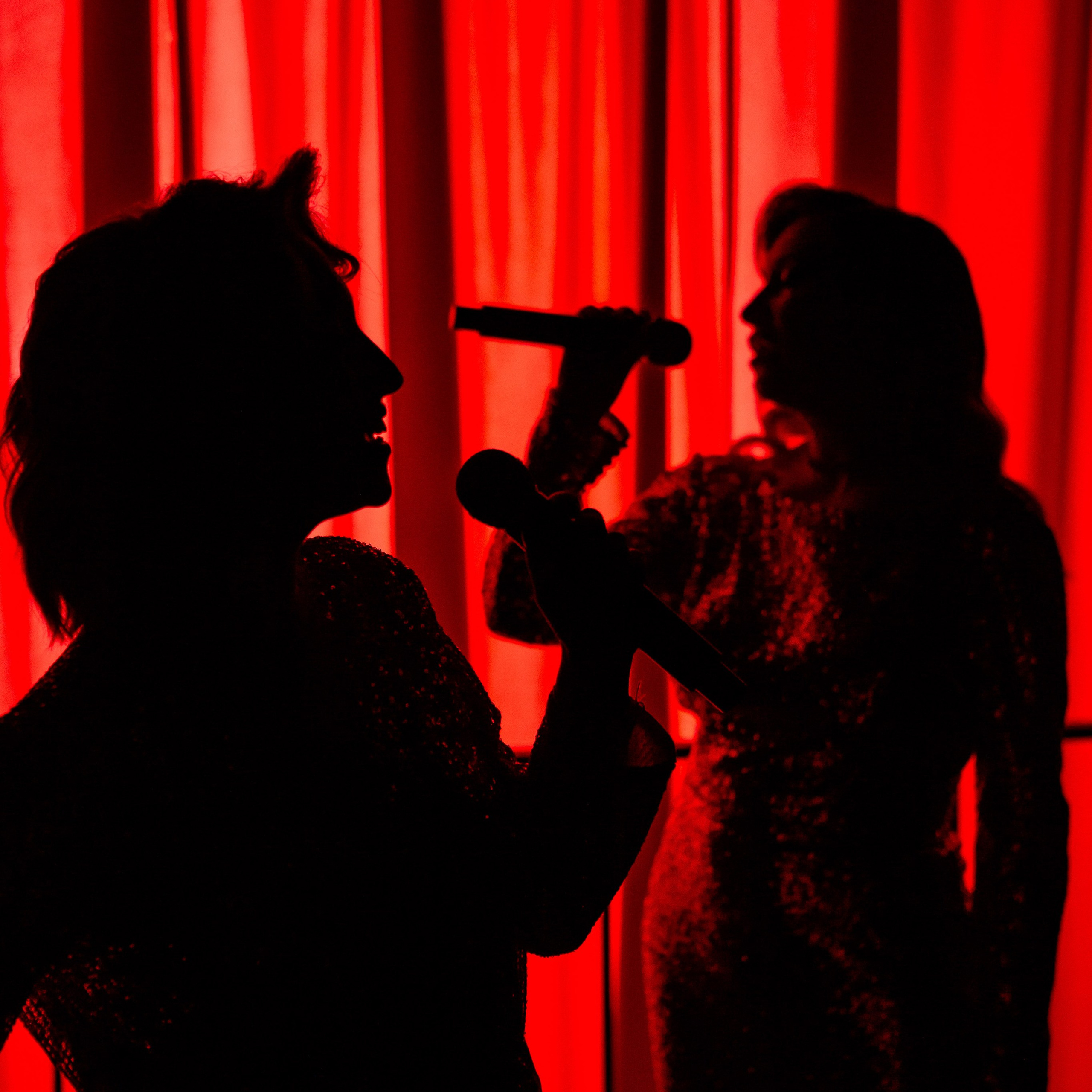 Цирковое шоу. Видеограф Добромыслов