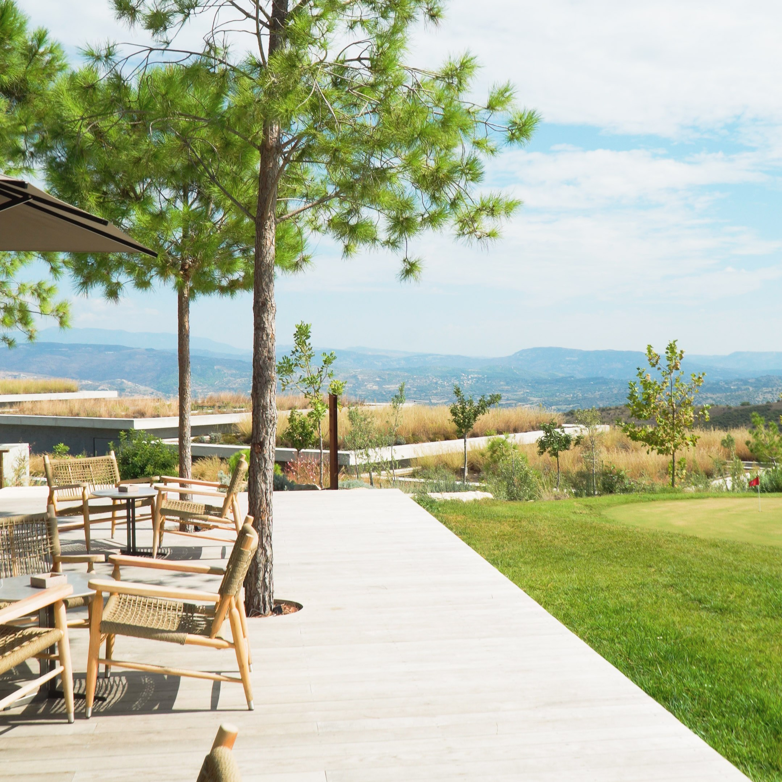 Агенство Недвижимости. Видеограф Добромыслов