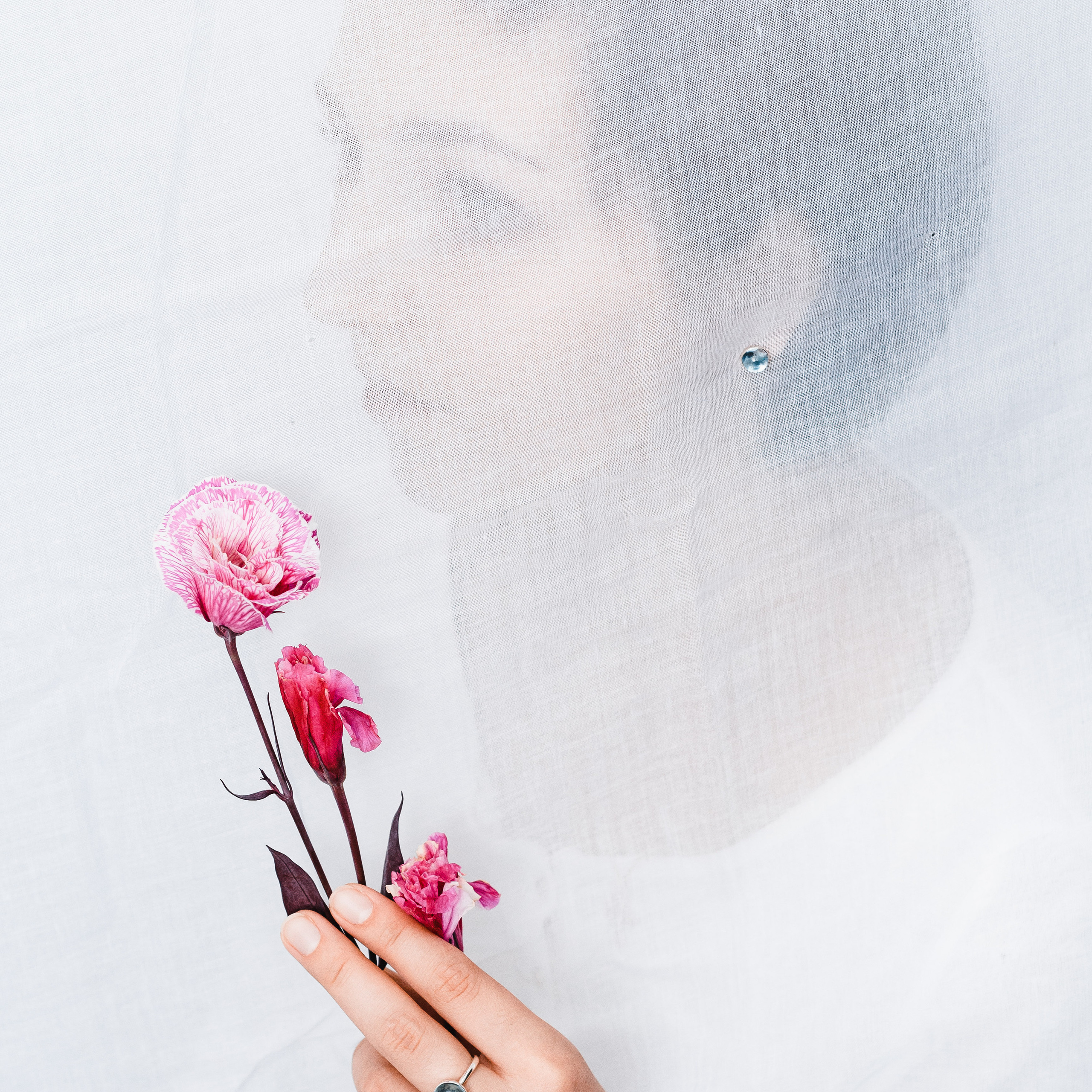 Предметка. Видеограф Добромыслов