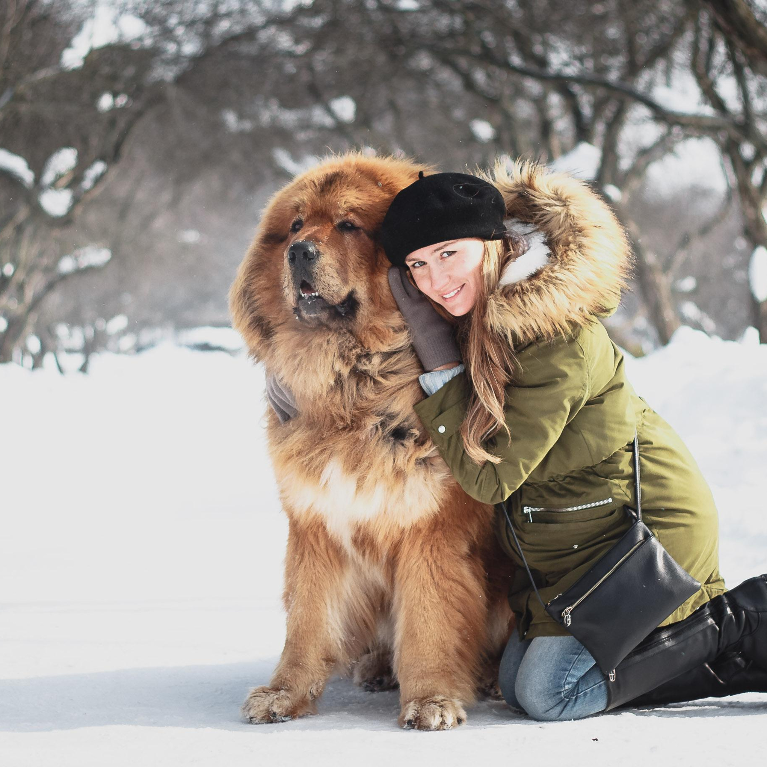 Уличные. Видеограф Добромыслов