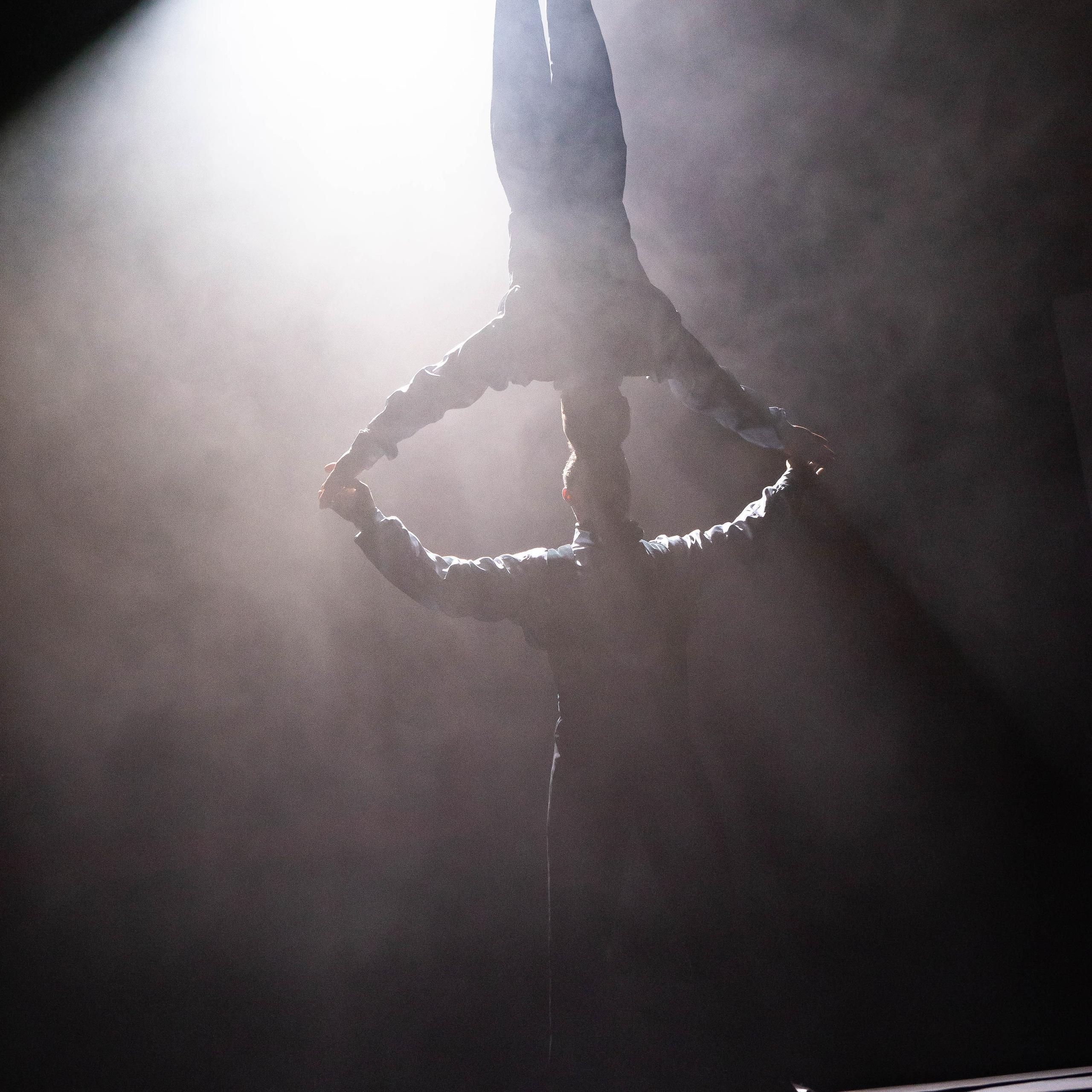 Цирковое шоу. Видеограф Добромыслов