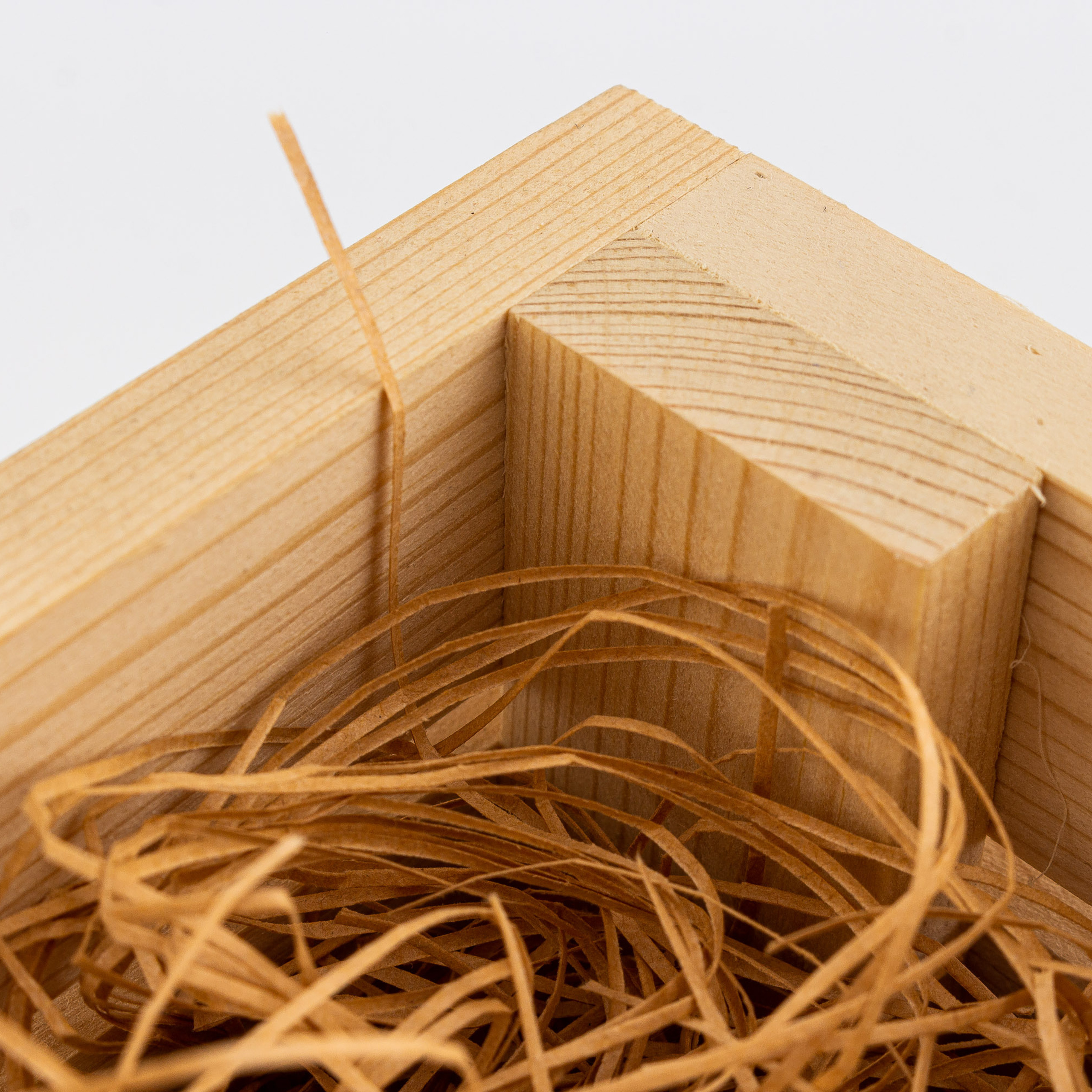 Предметка. Видеограф Добромыслов