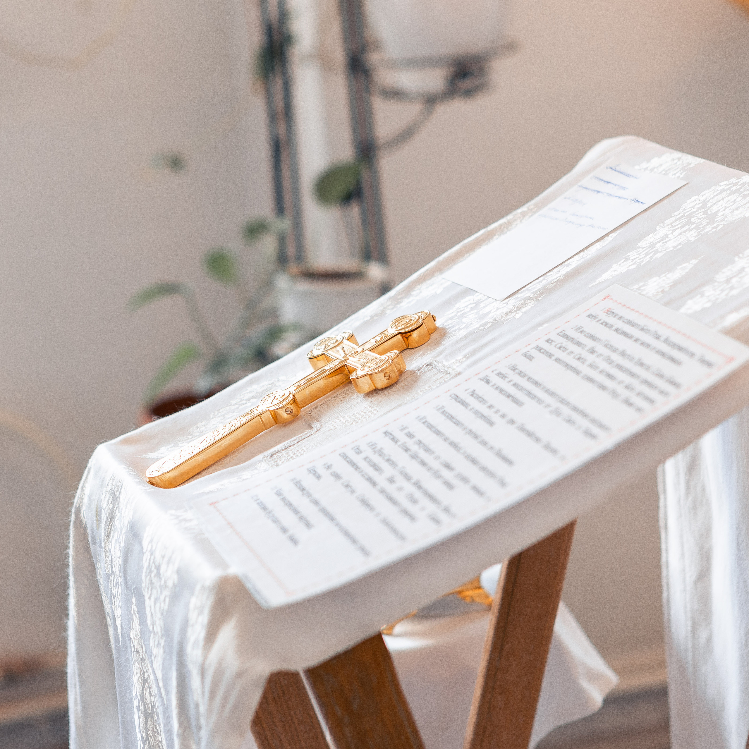 Детская и семейная. Видеограф Добромыслов