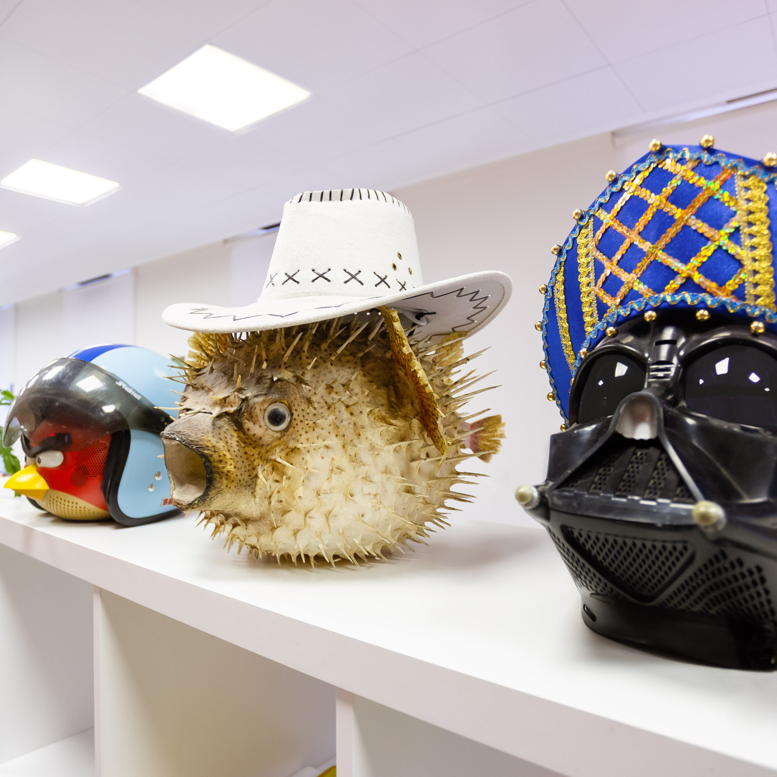 Креативное агентство. Видеограф Добромыслов