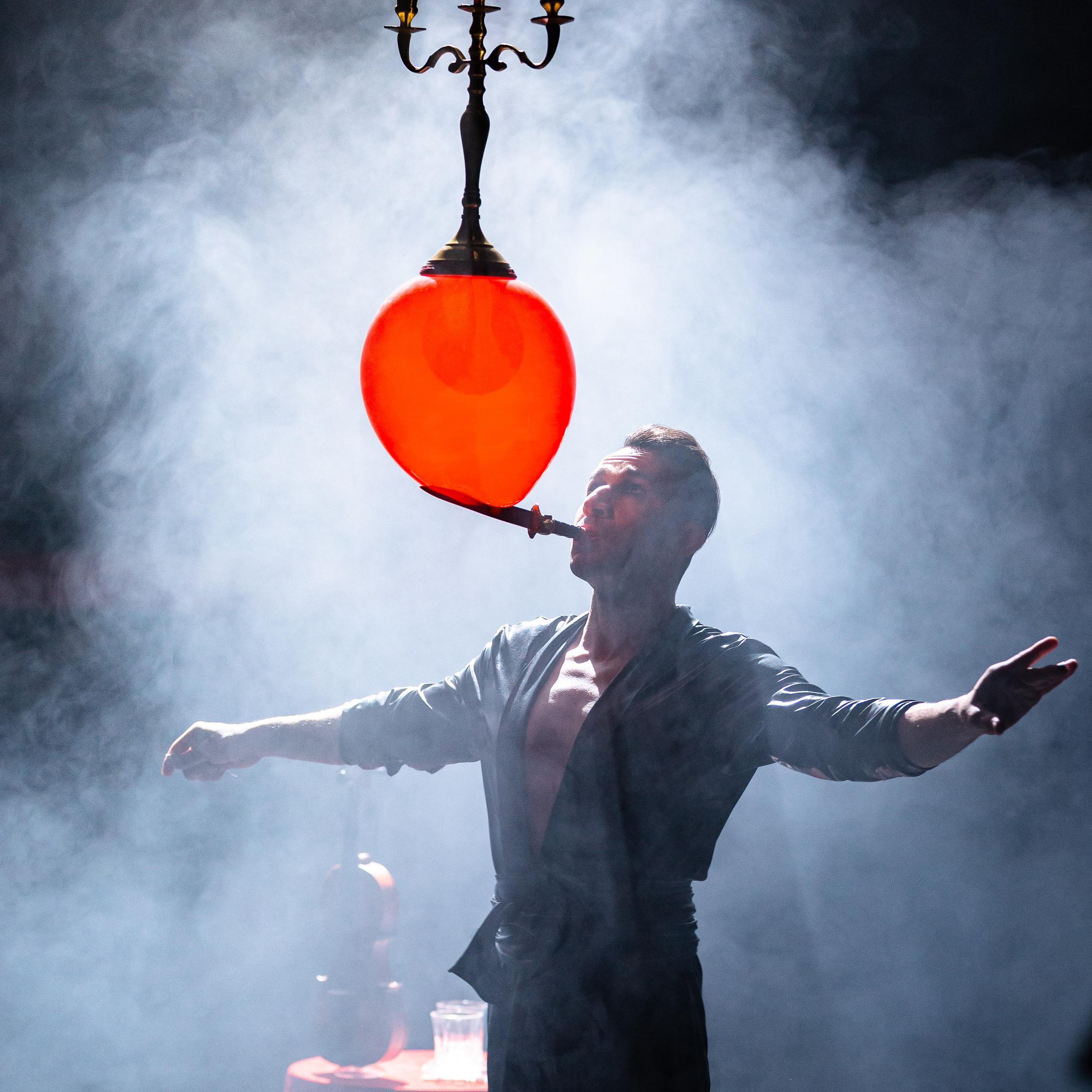 Цирковое шоу. Видеограф Добромыслов