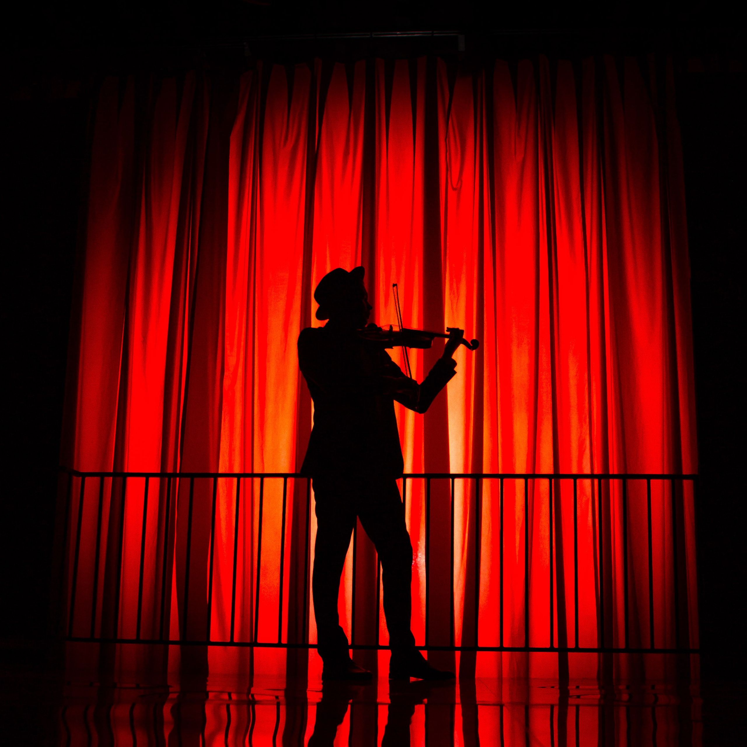 Цирковое шоу. Видеограф Добромыслов