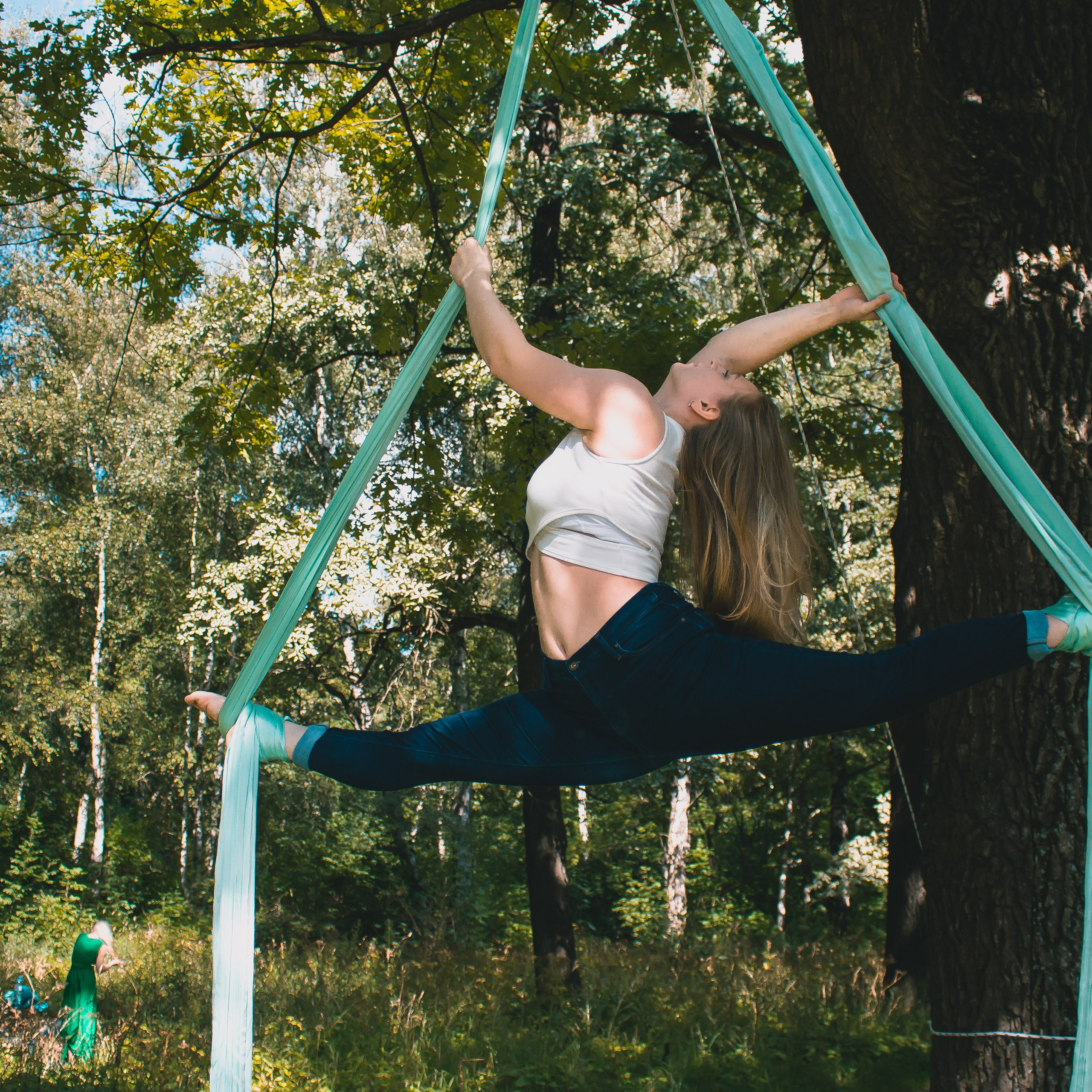 Цирковое шоу. Видеограф Добромыслов