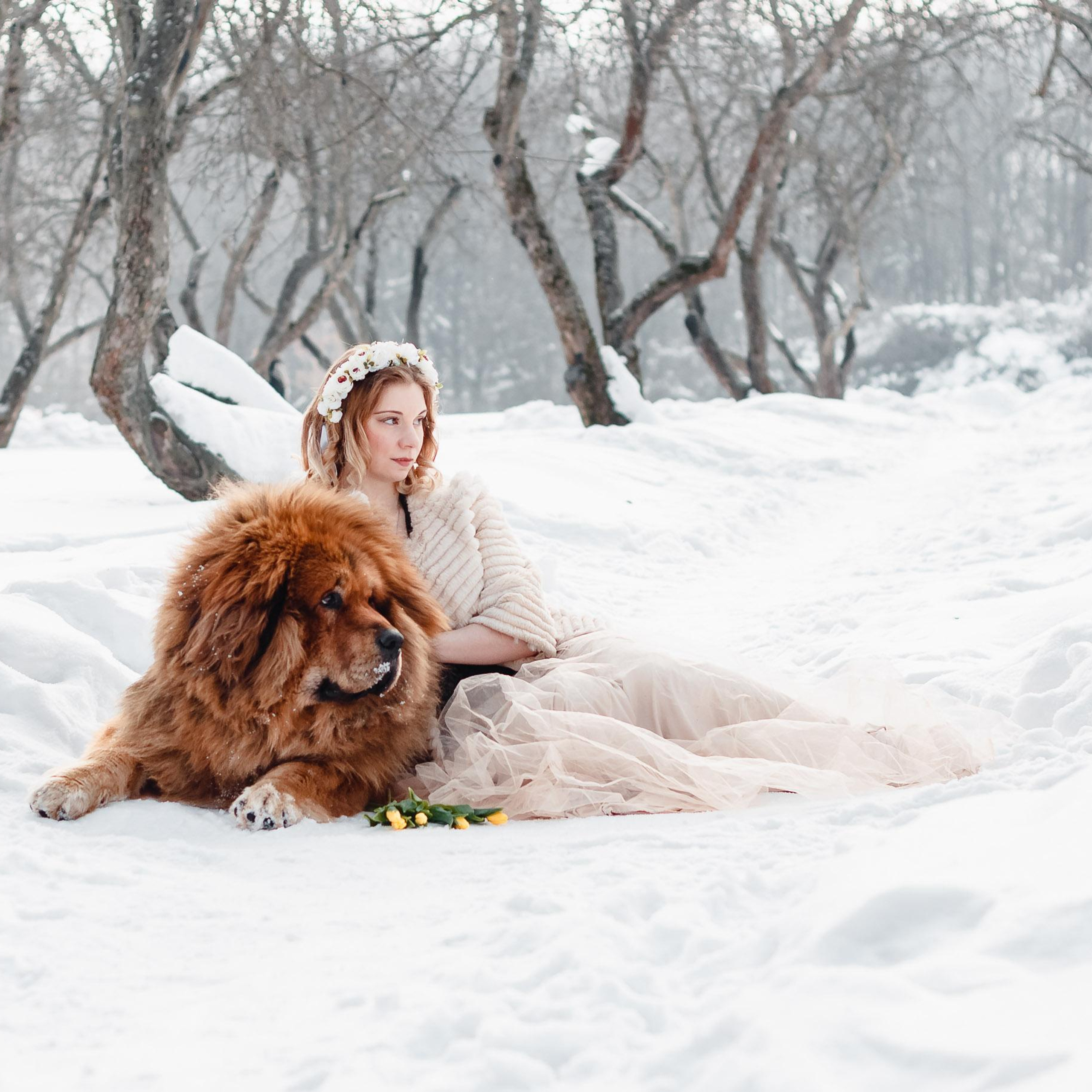 Уличные. Видеограф Добромыслов