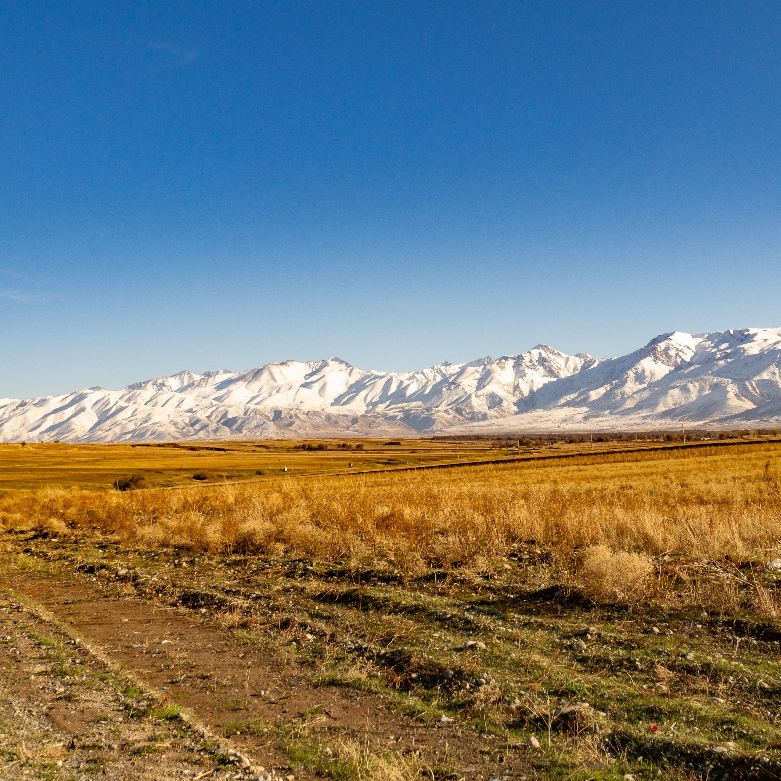 Казахстан. Видеограф Добромыслов